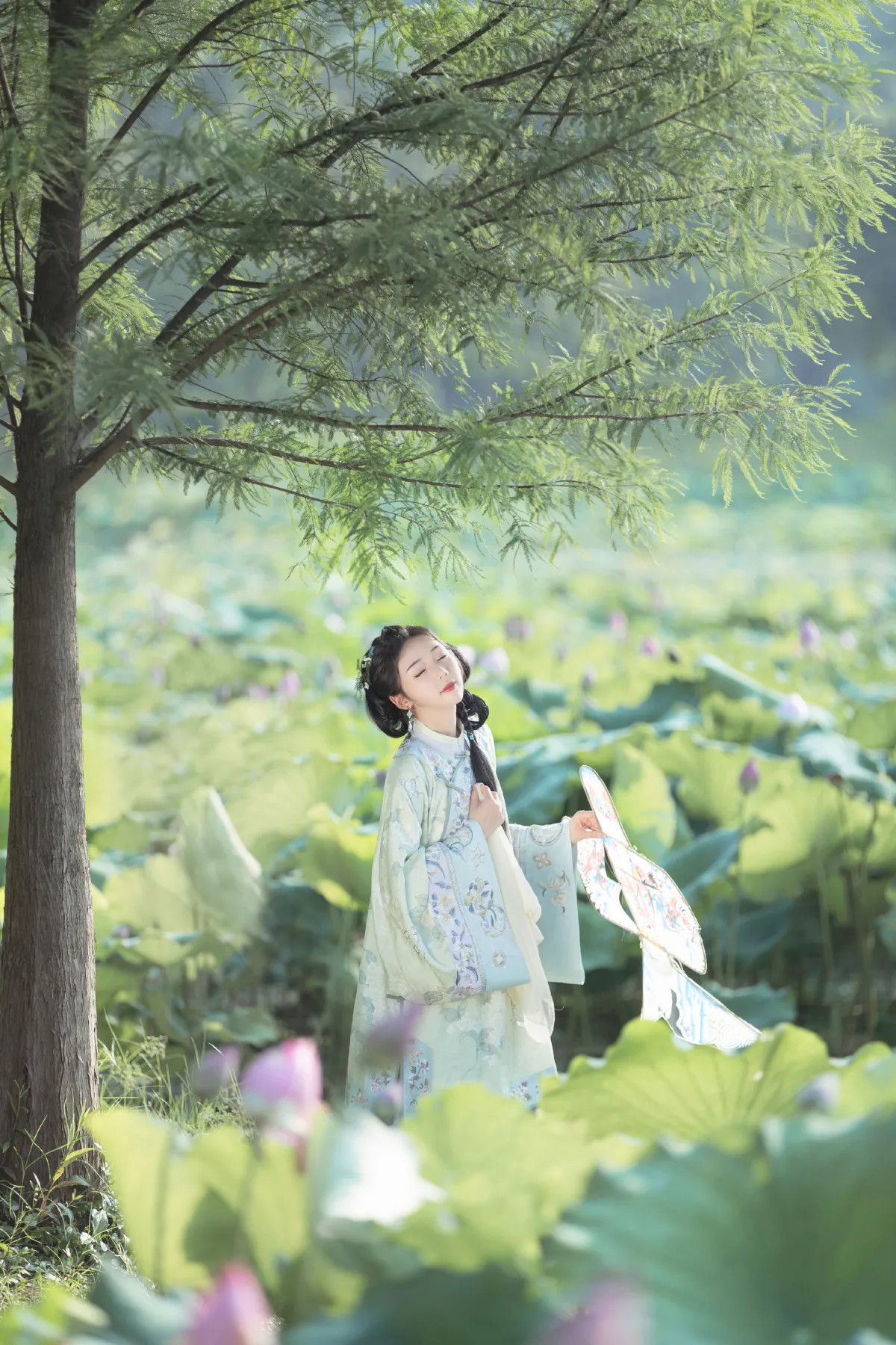 菡萏