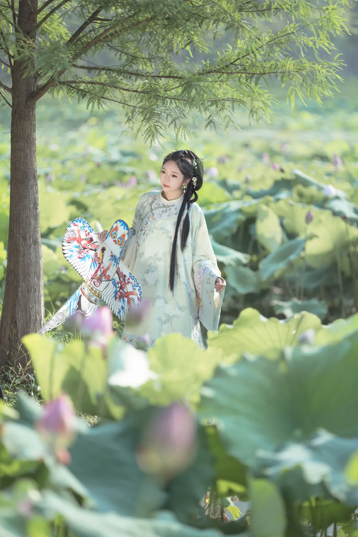 菡萏