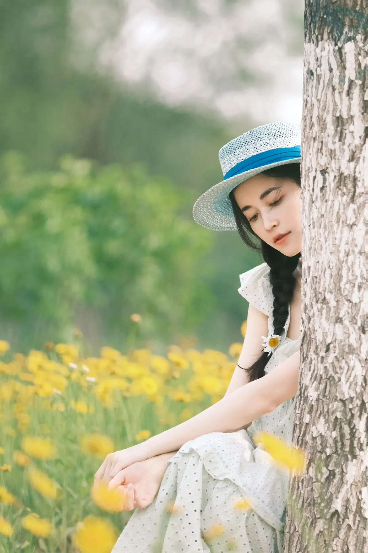 绿野仙踪3