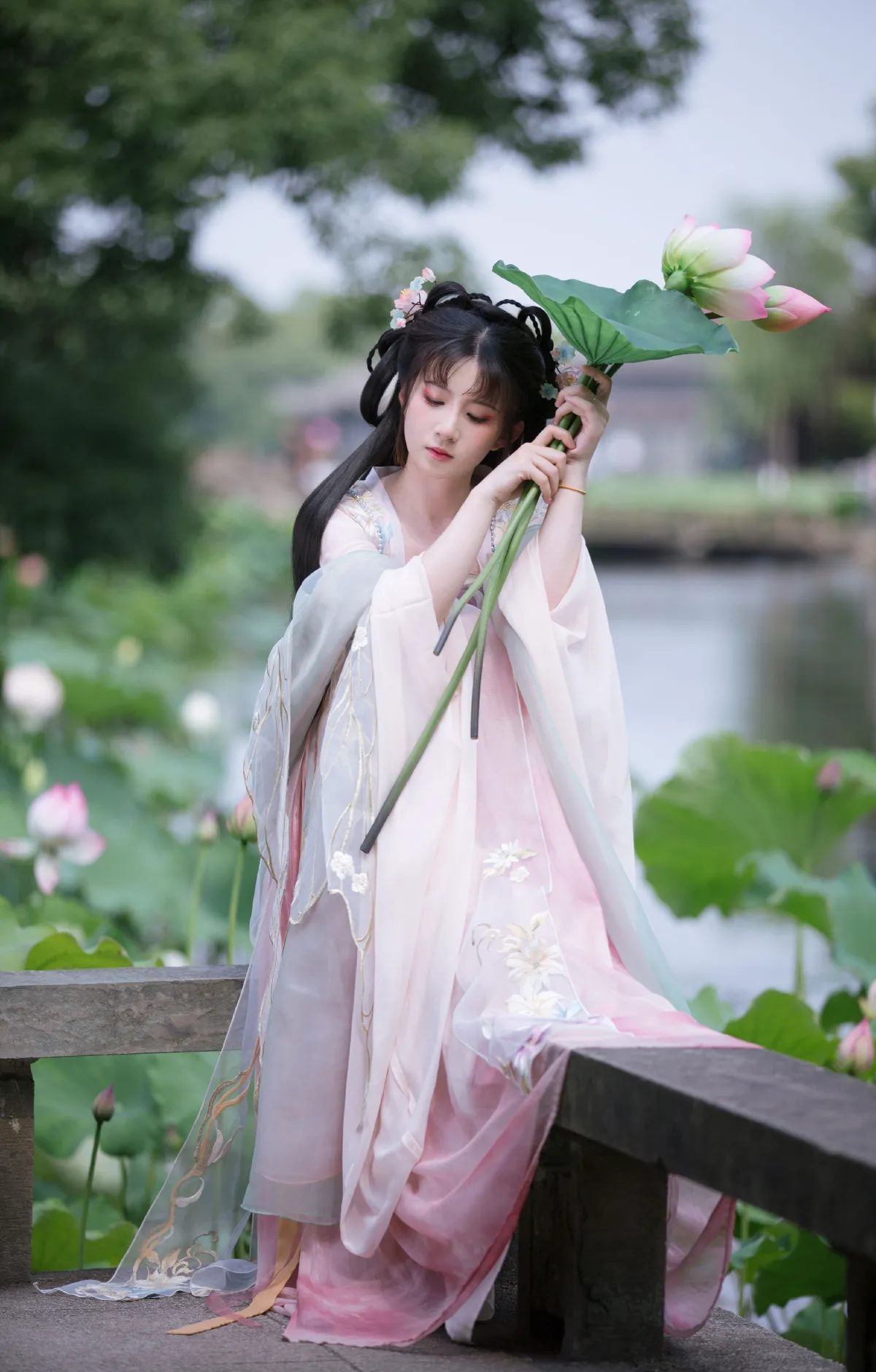 荷塘1
