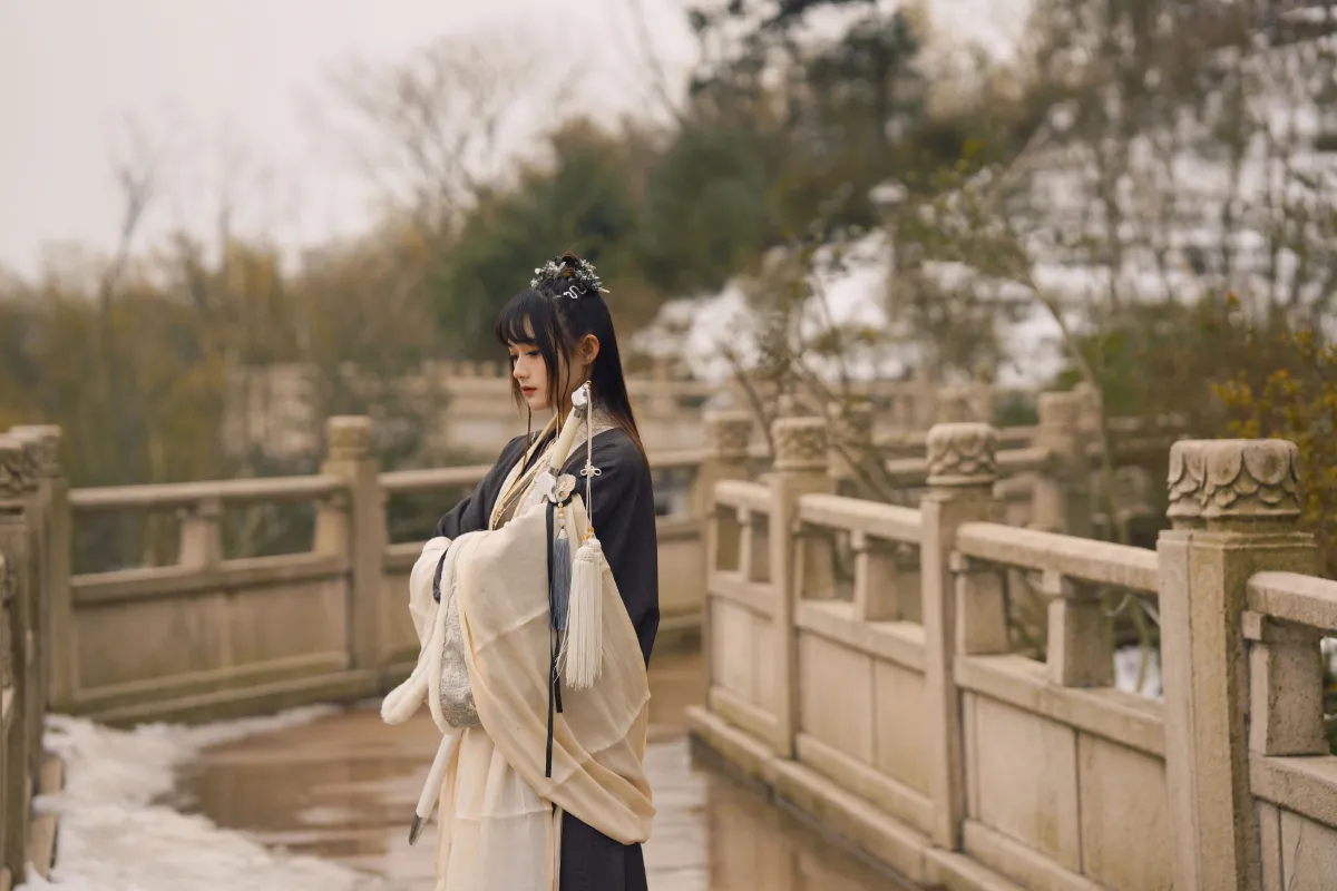 雪中悍刀行