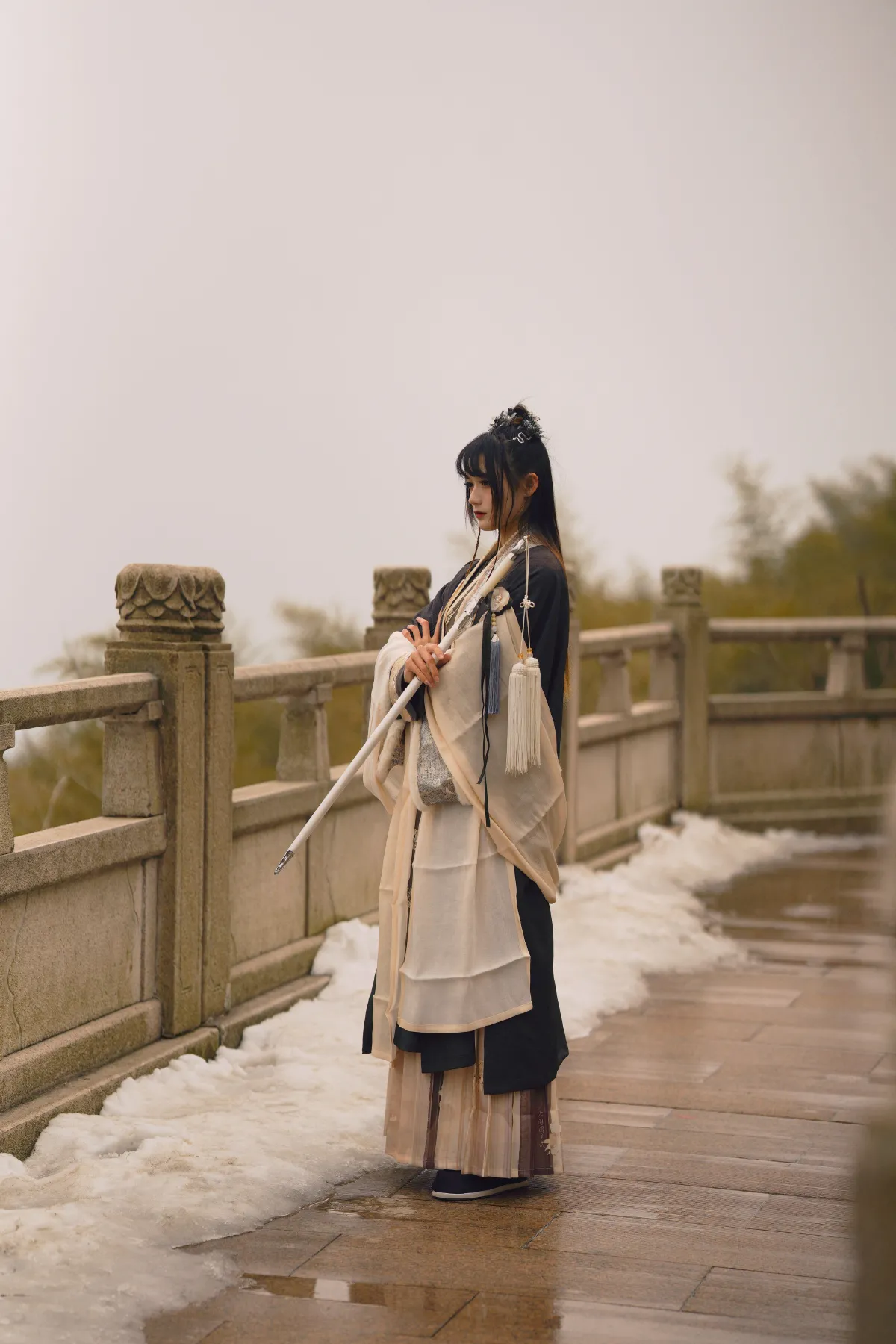 雪中悍刀行2