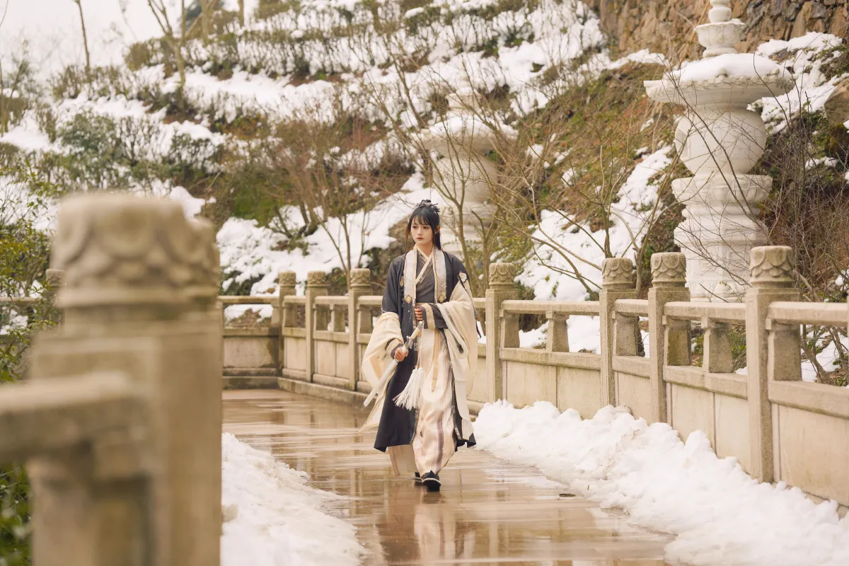 雪中悍刀行
