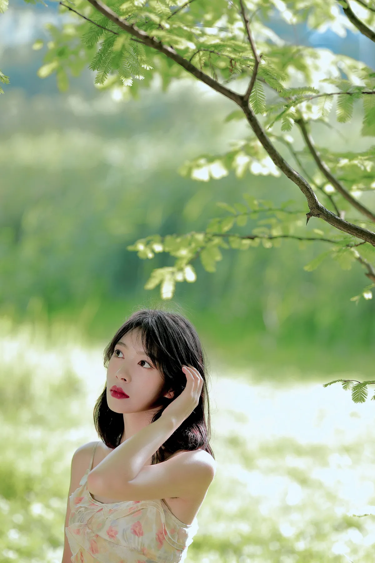 遥望3