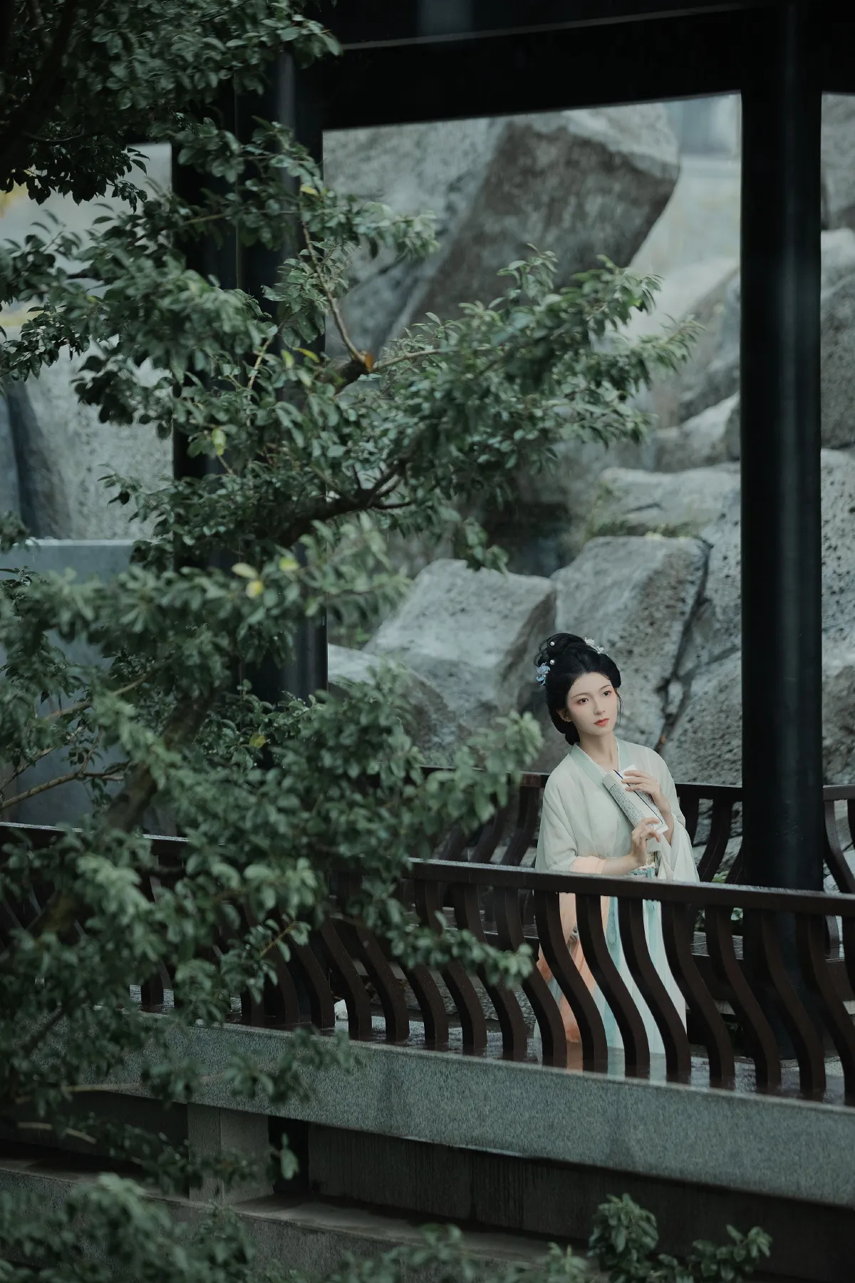 雨打芭蕉3