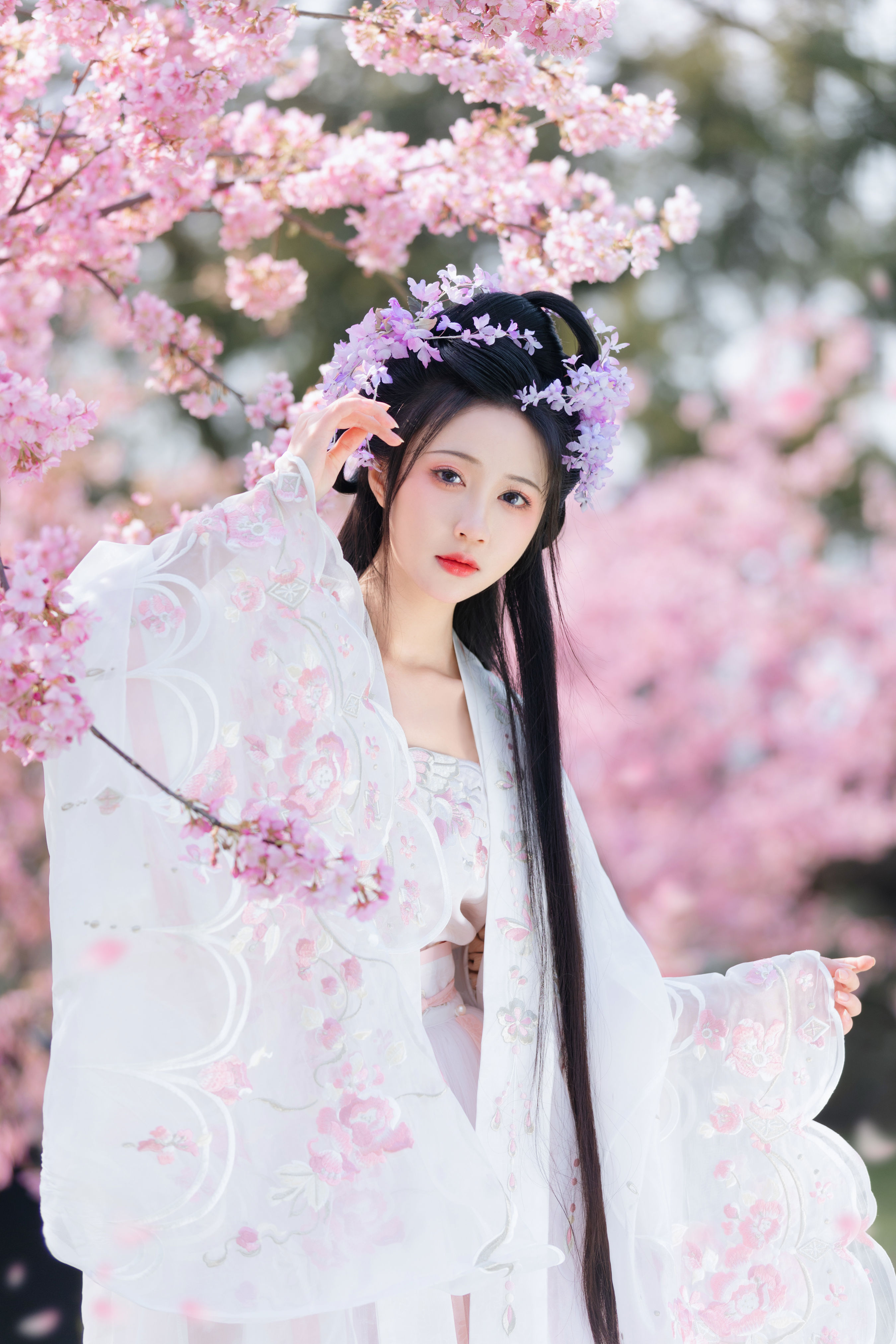 樱花仙子