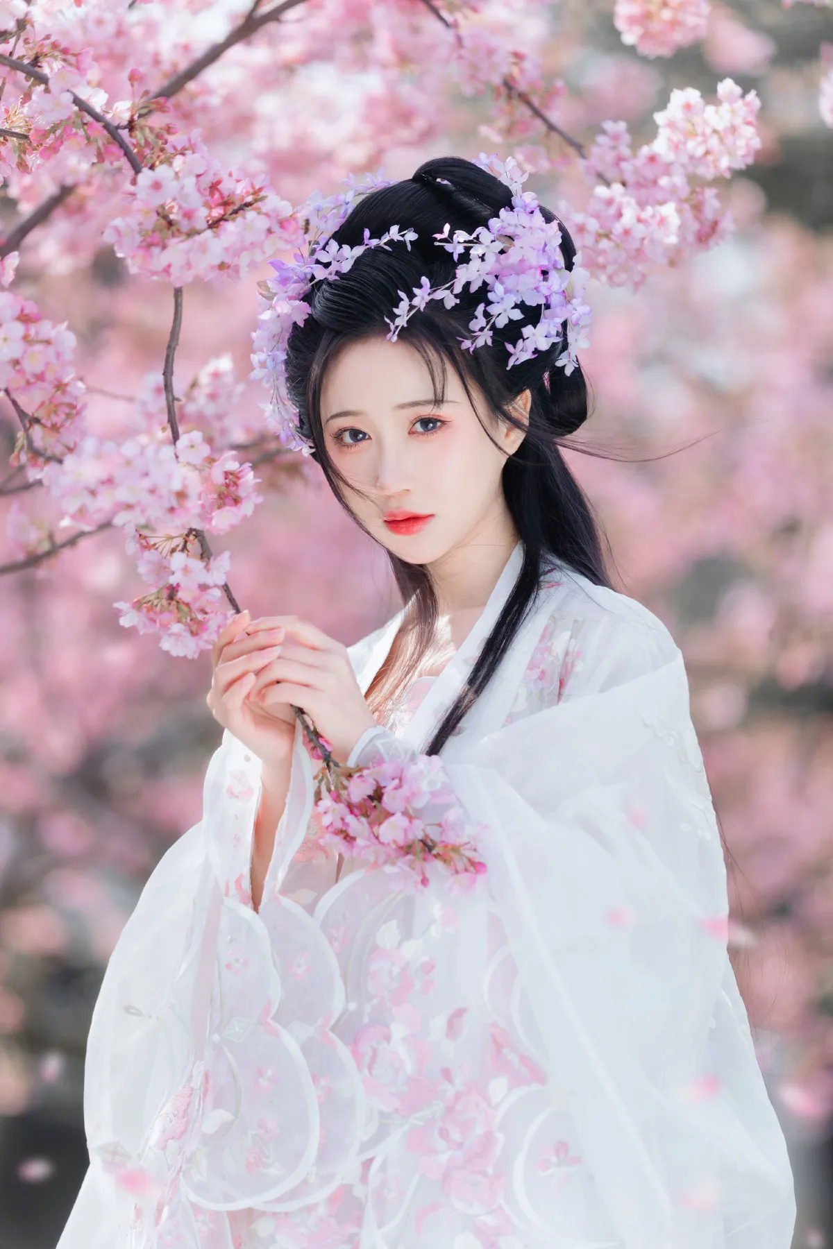 樱花仙子