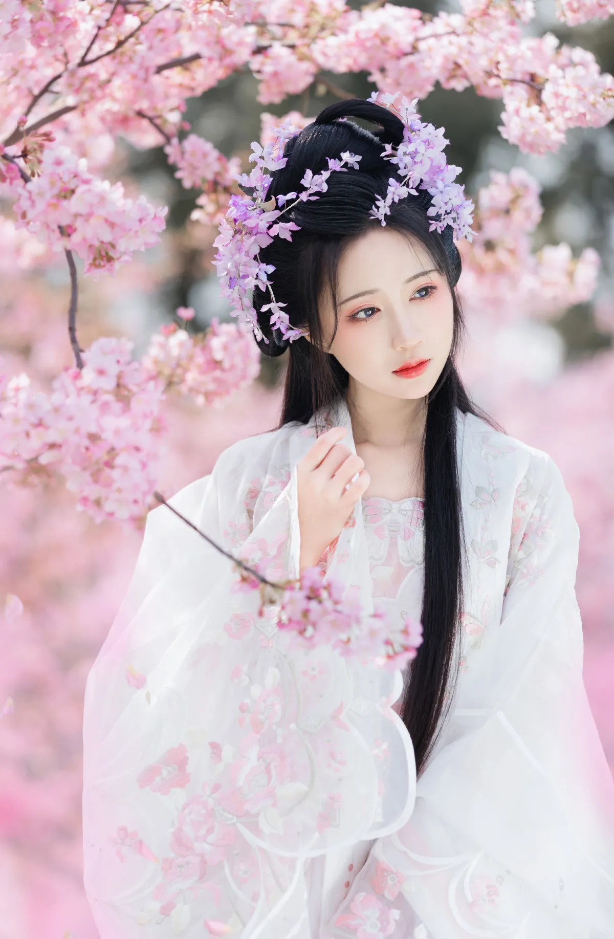 樱花仙子