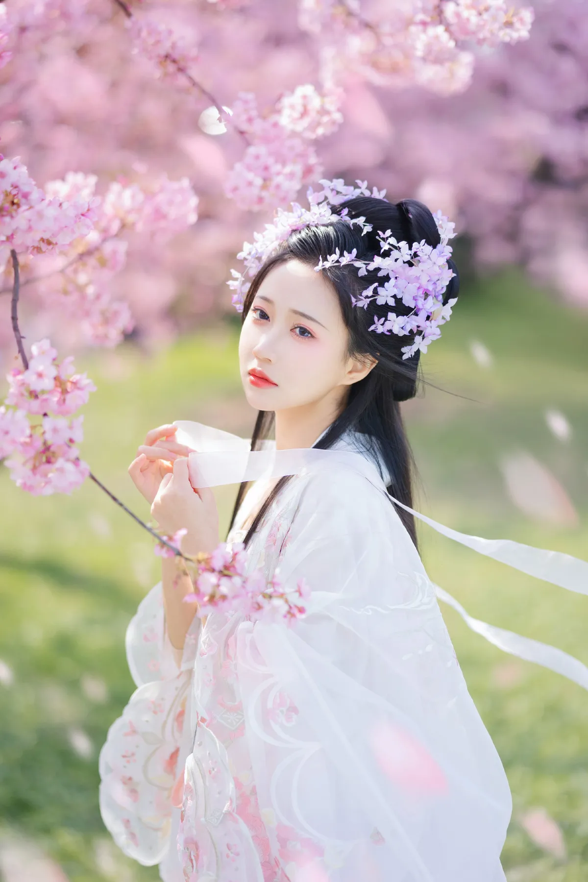 樱花仙子