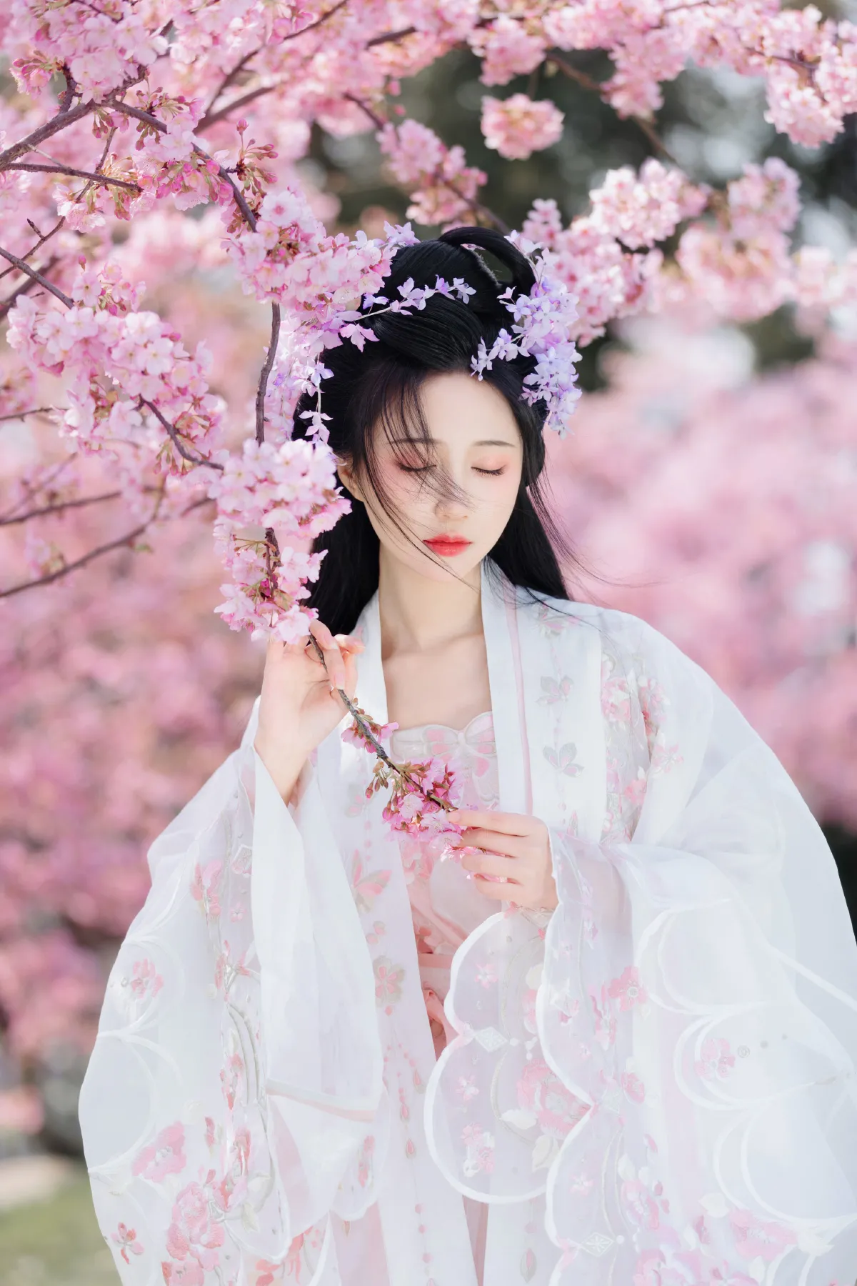 樱花仙子