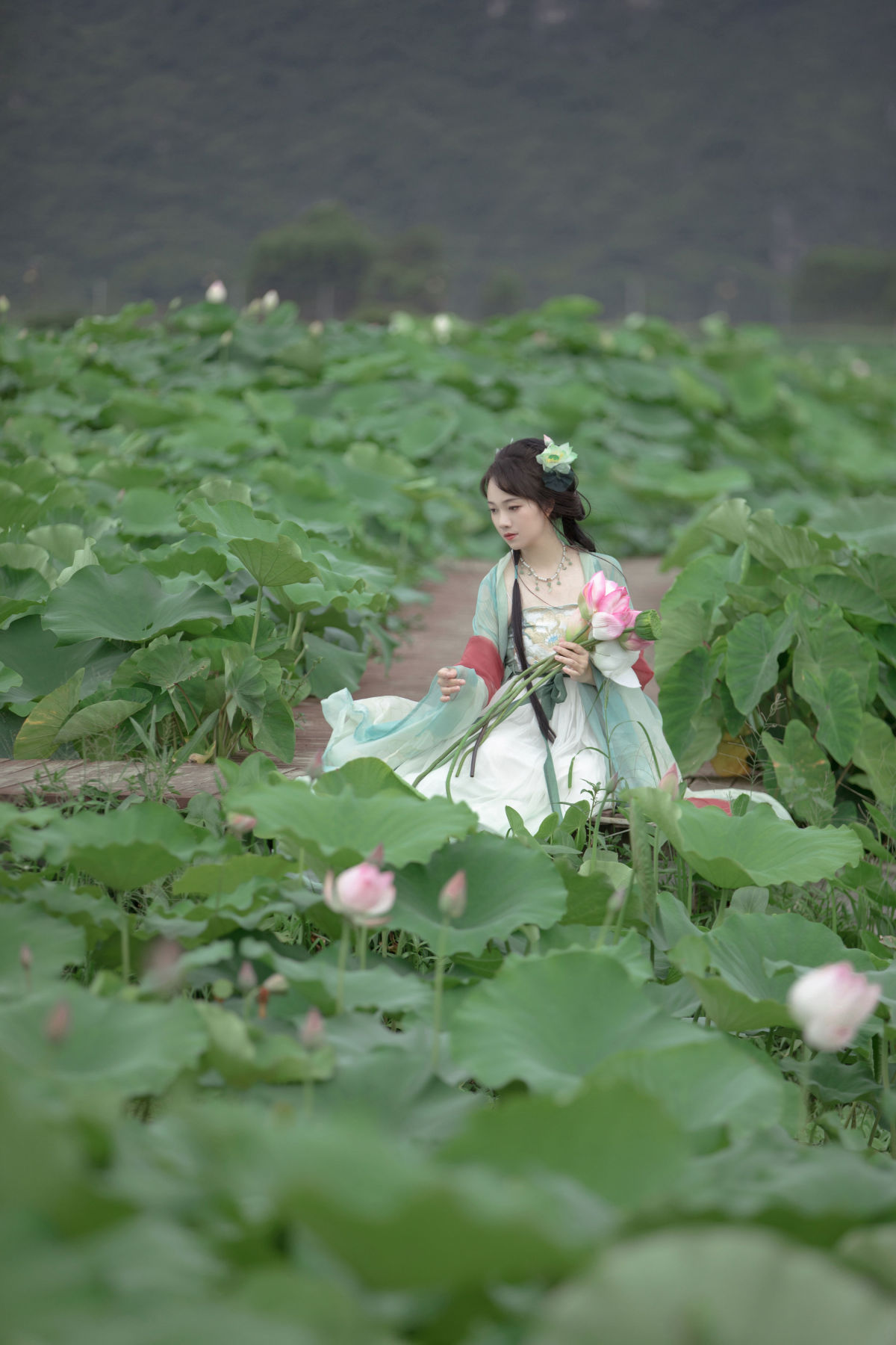 連翹_____秋哒哒--《慕娉婷》美图作品图片3