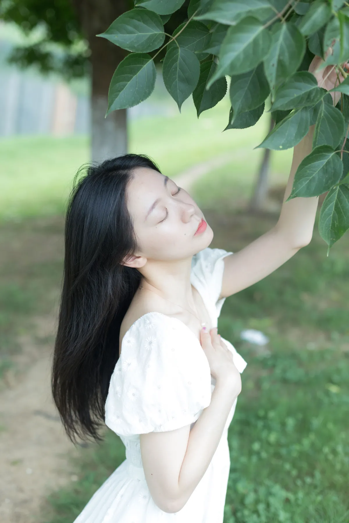 绿色呼吸