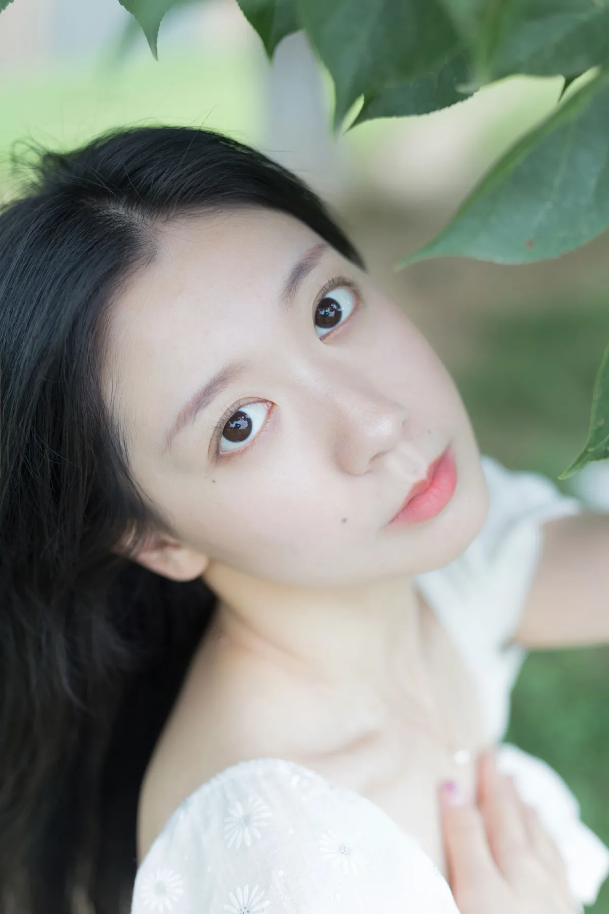 绿色呼吸