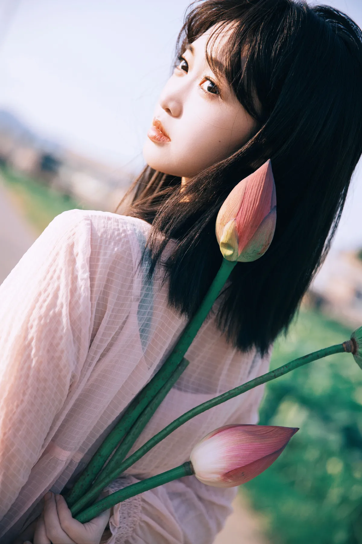 夏日荷花