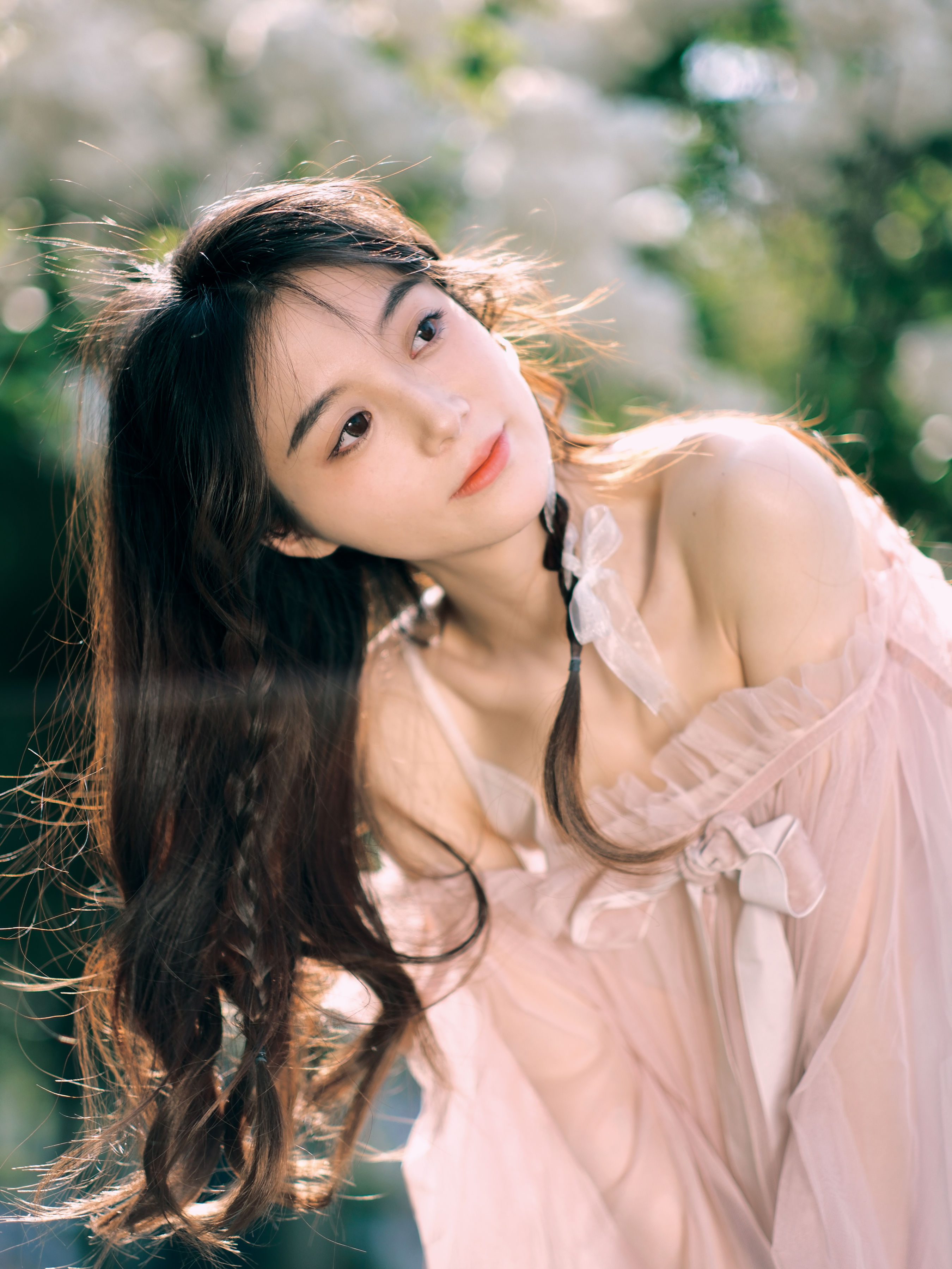 绣球花的浪漫