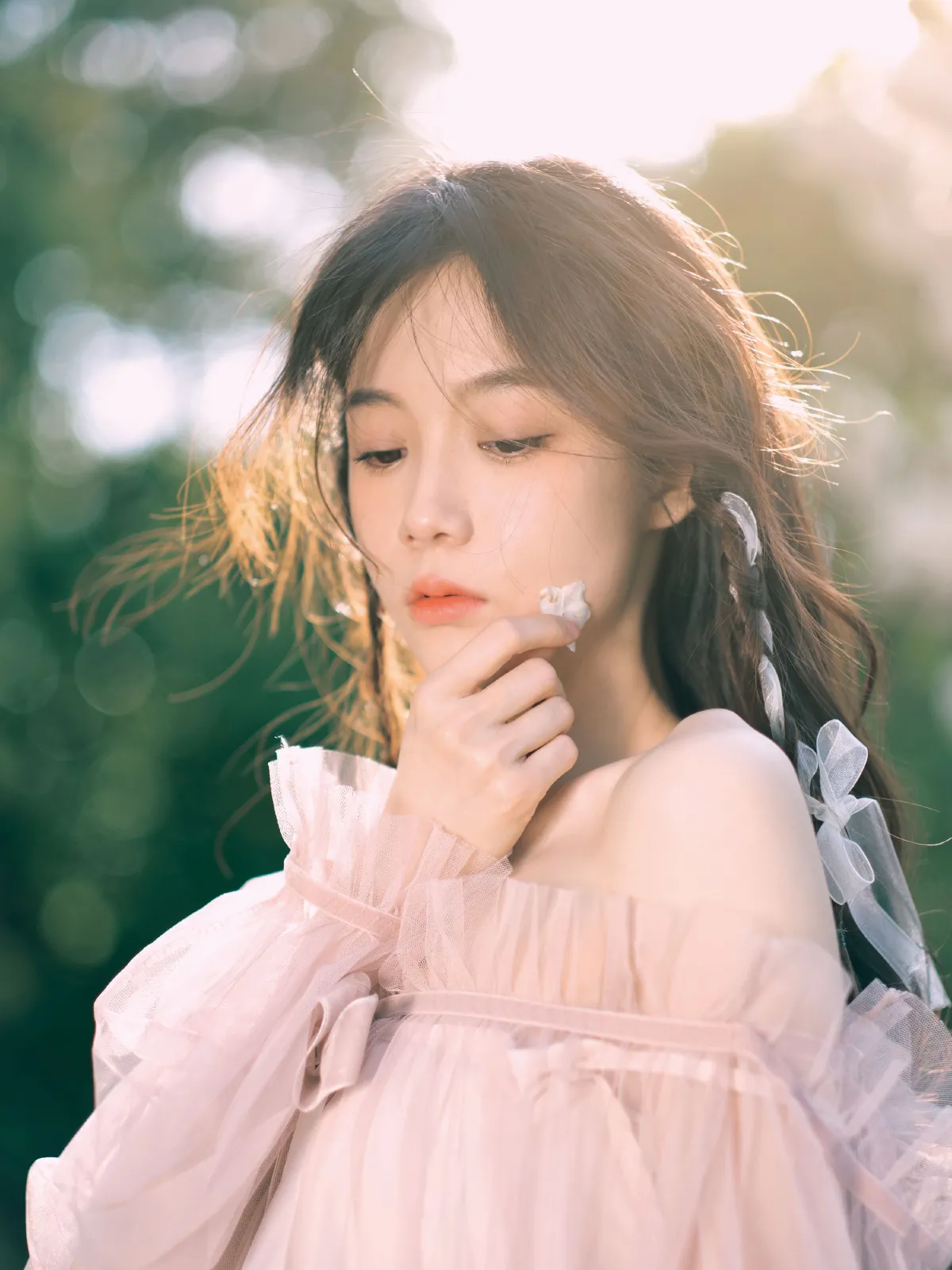 绣球花的浪漫