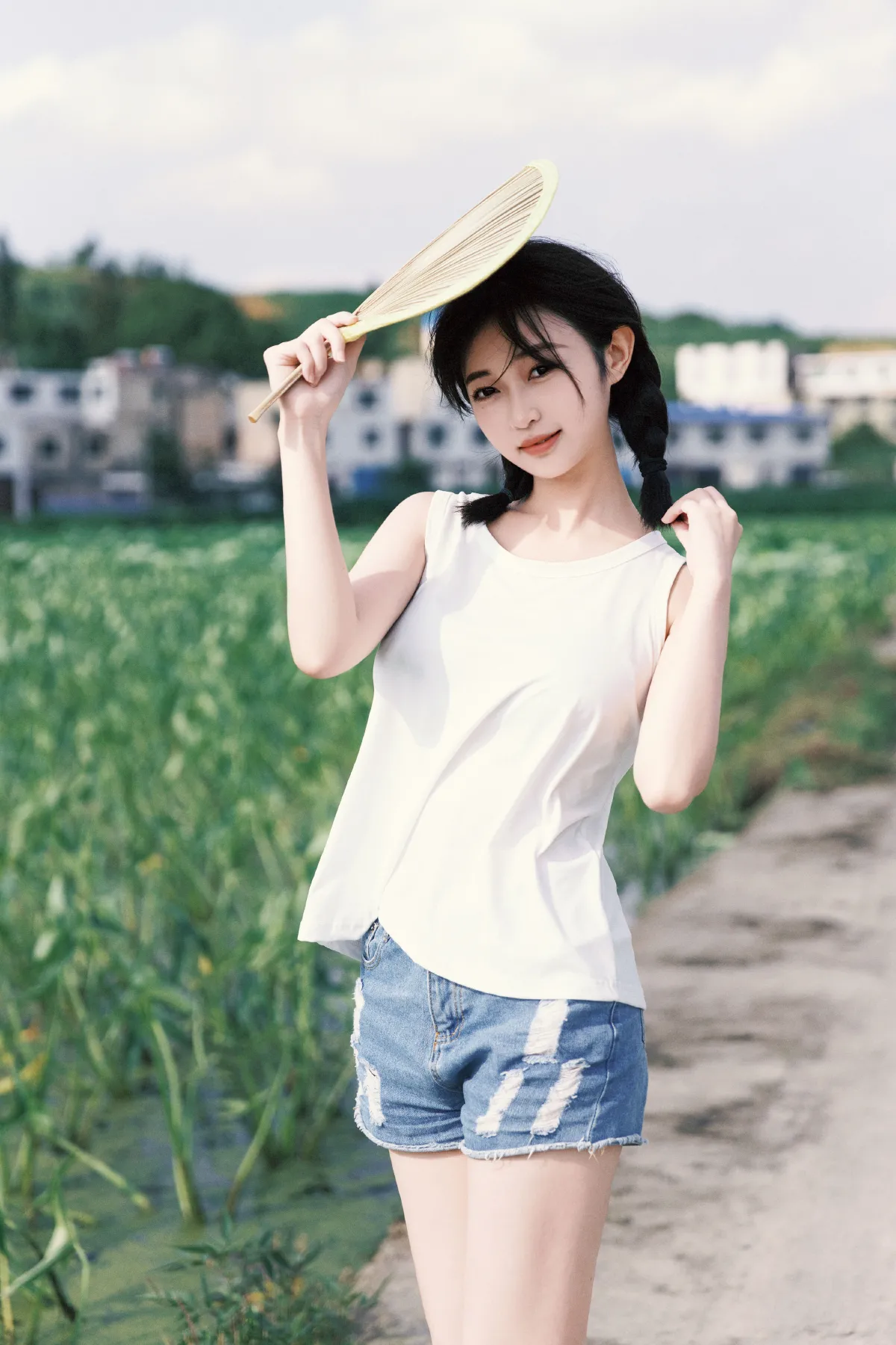 荷叶田田1