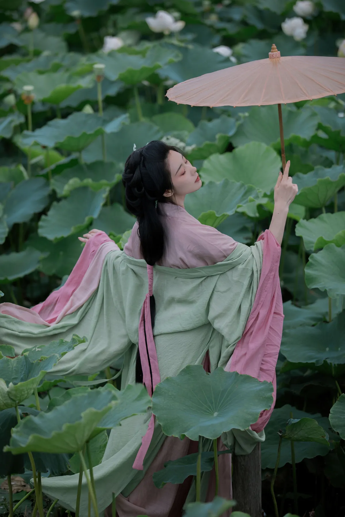 碧波游1