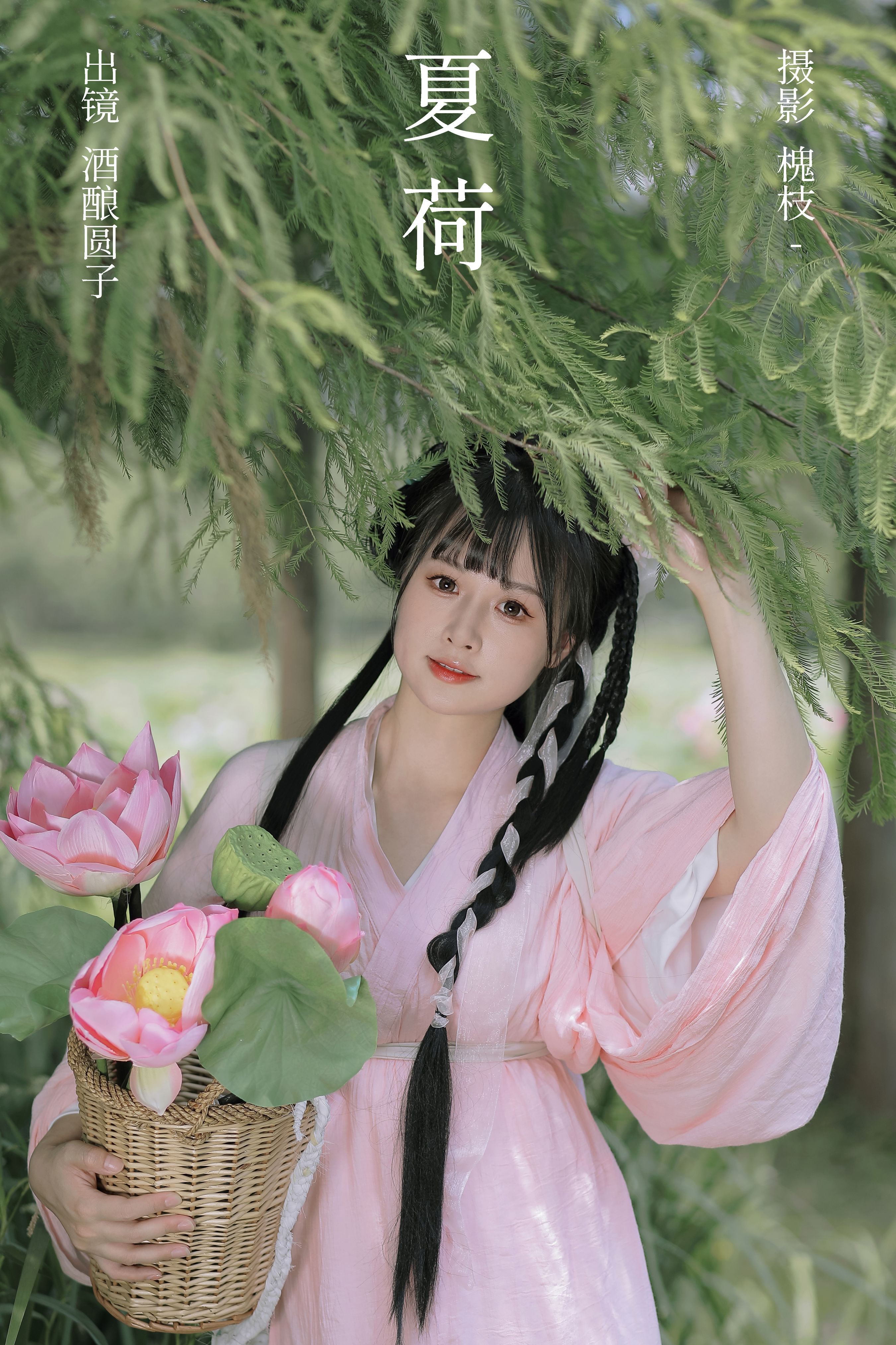 槐枝-_酒酿圆子《夏荷》美图作品图片1