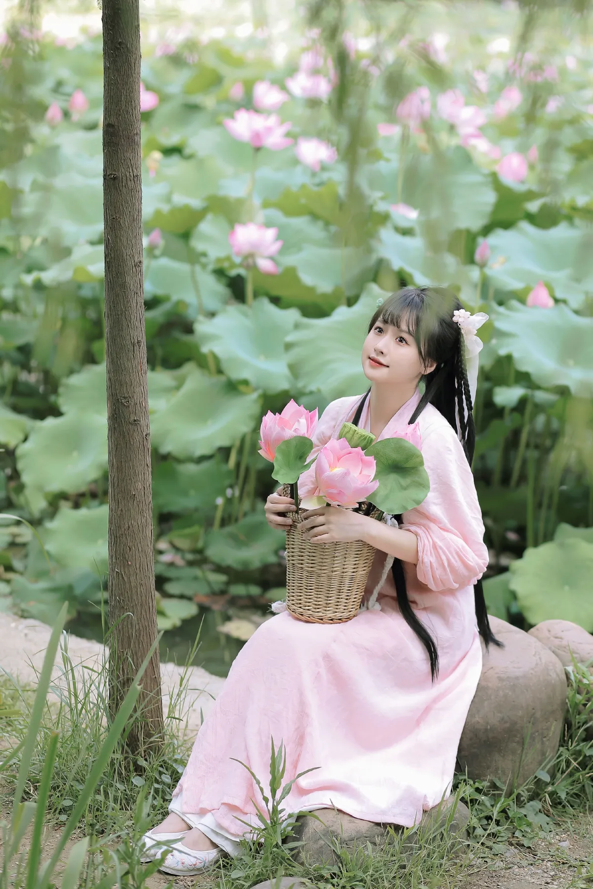 夏荷3