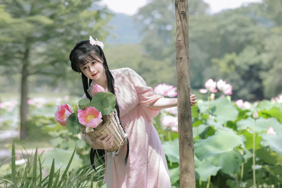 夏荷