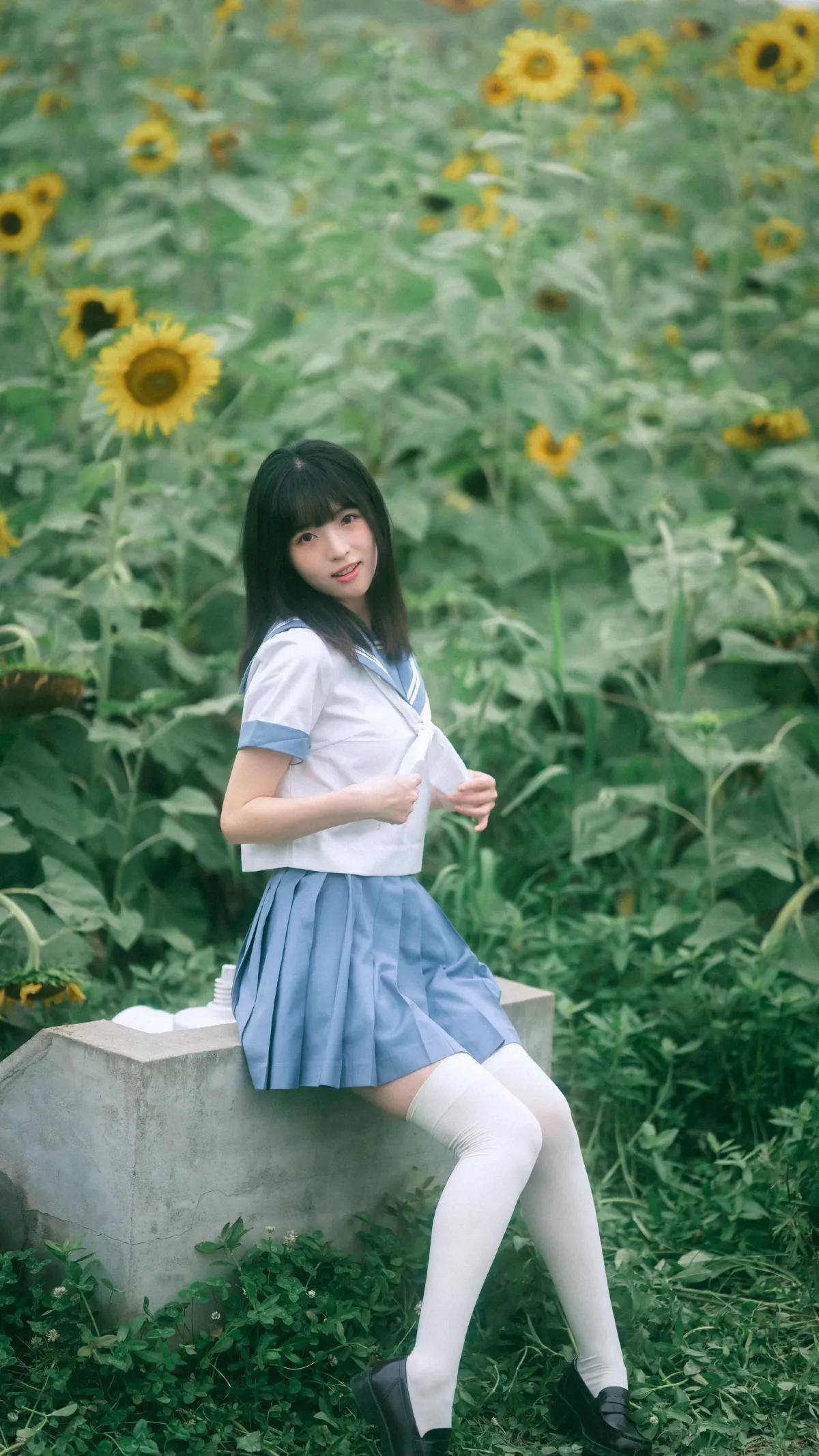 小贝的夏天1