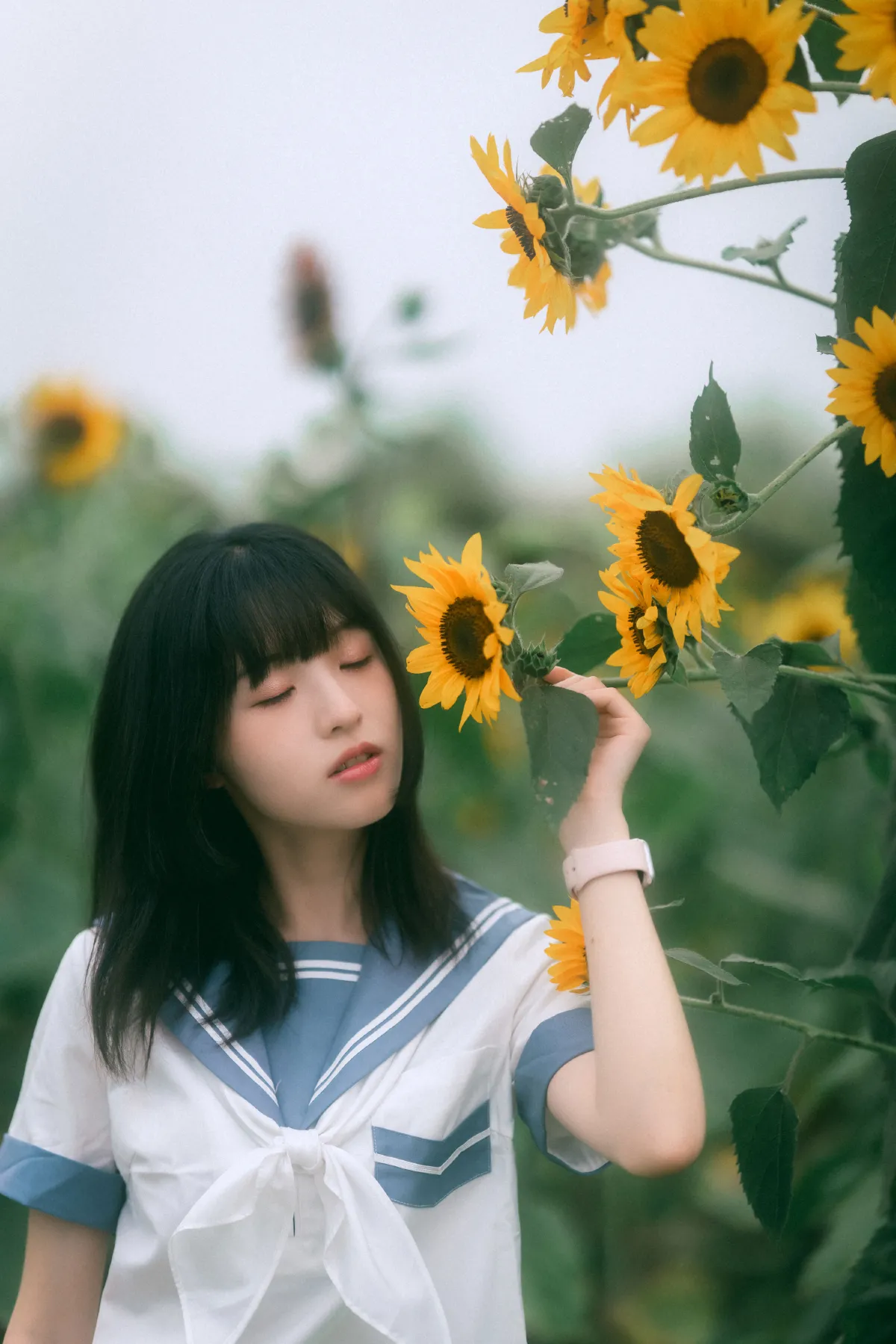 小贝的夏天