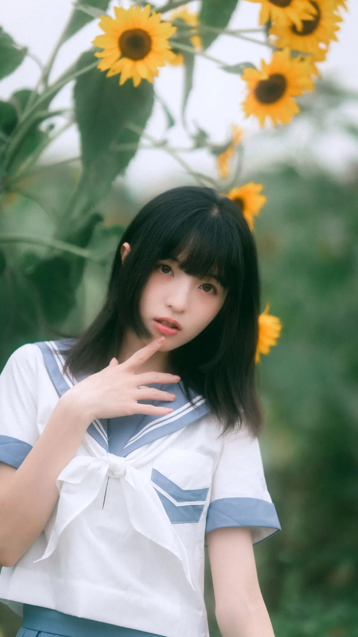 小贝的夏天