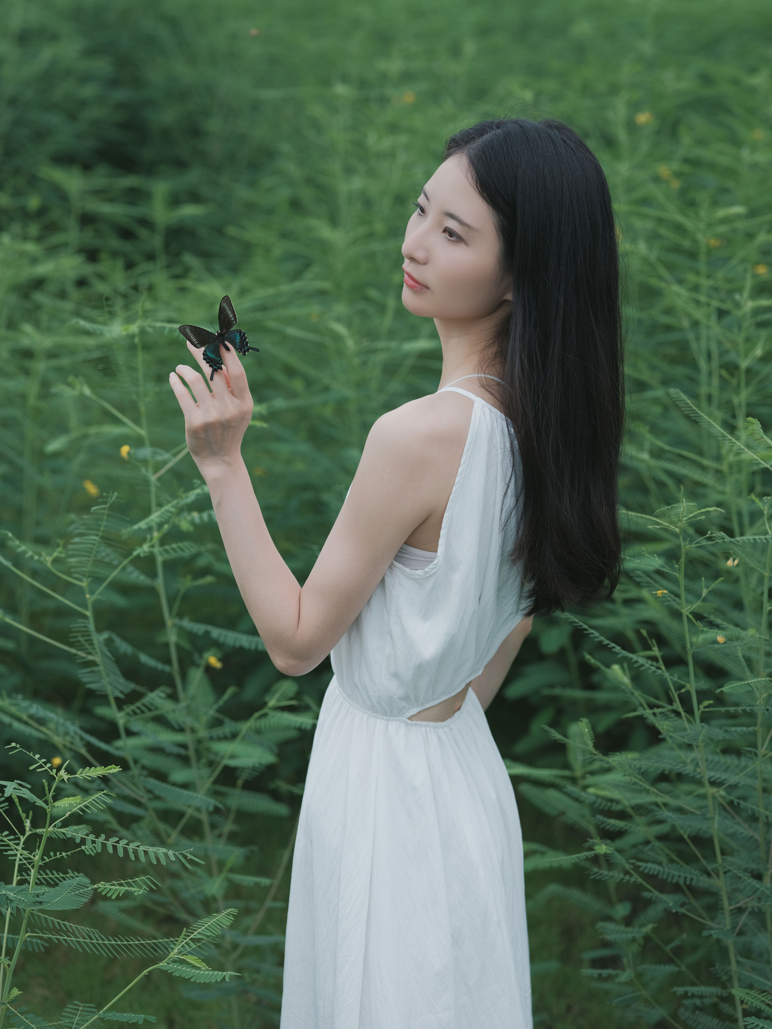 花床少女