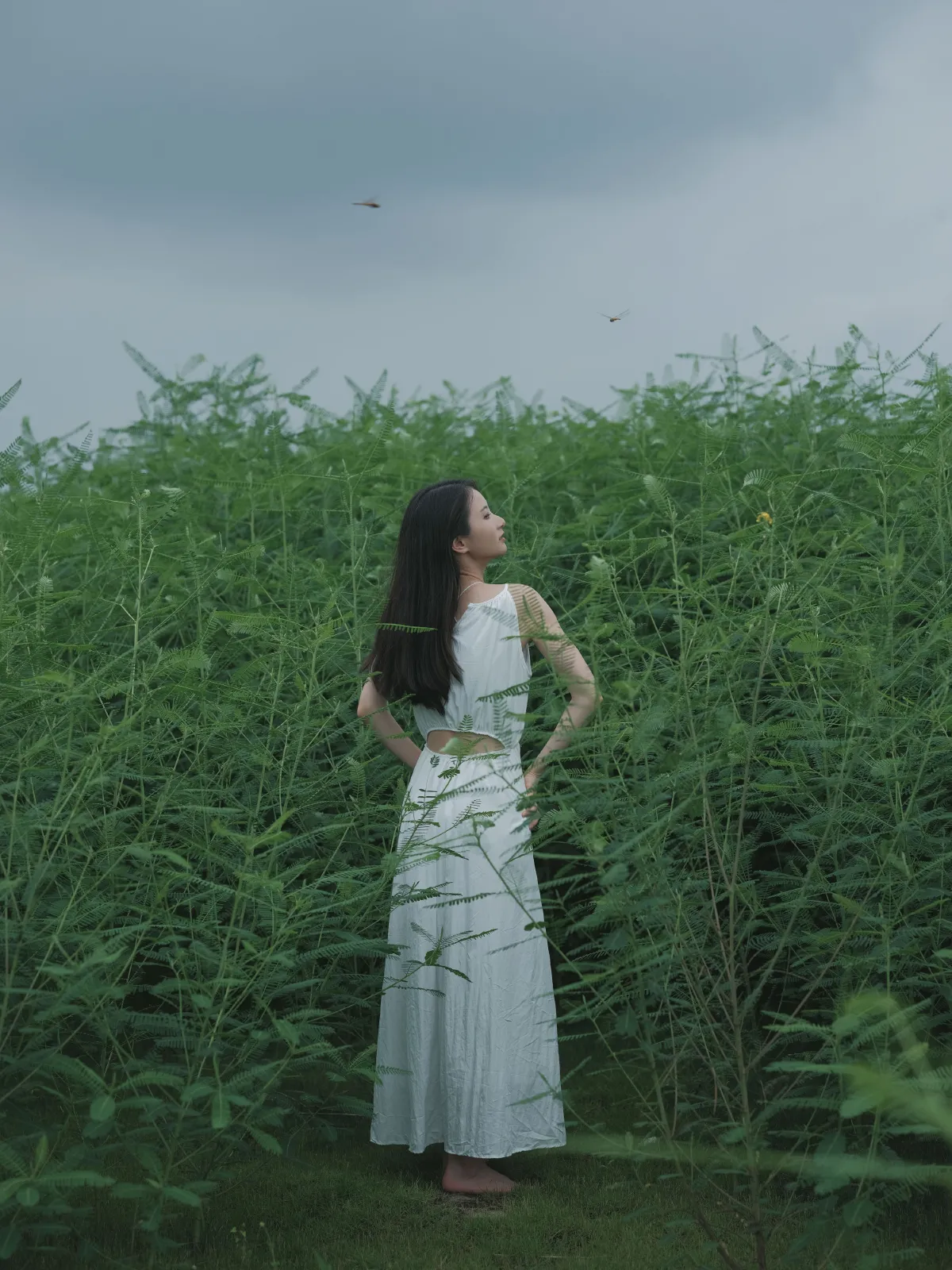 花床少女