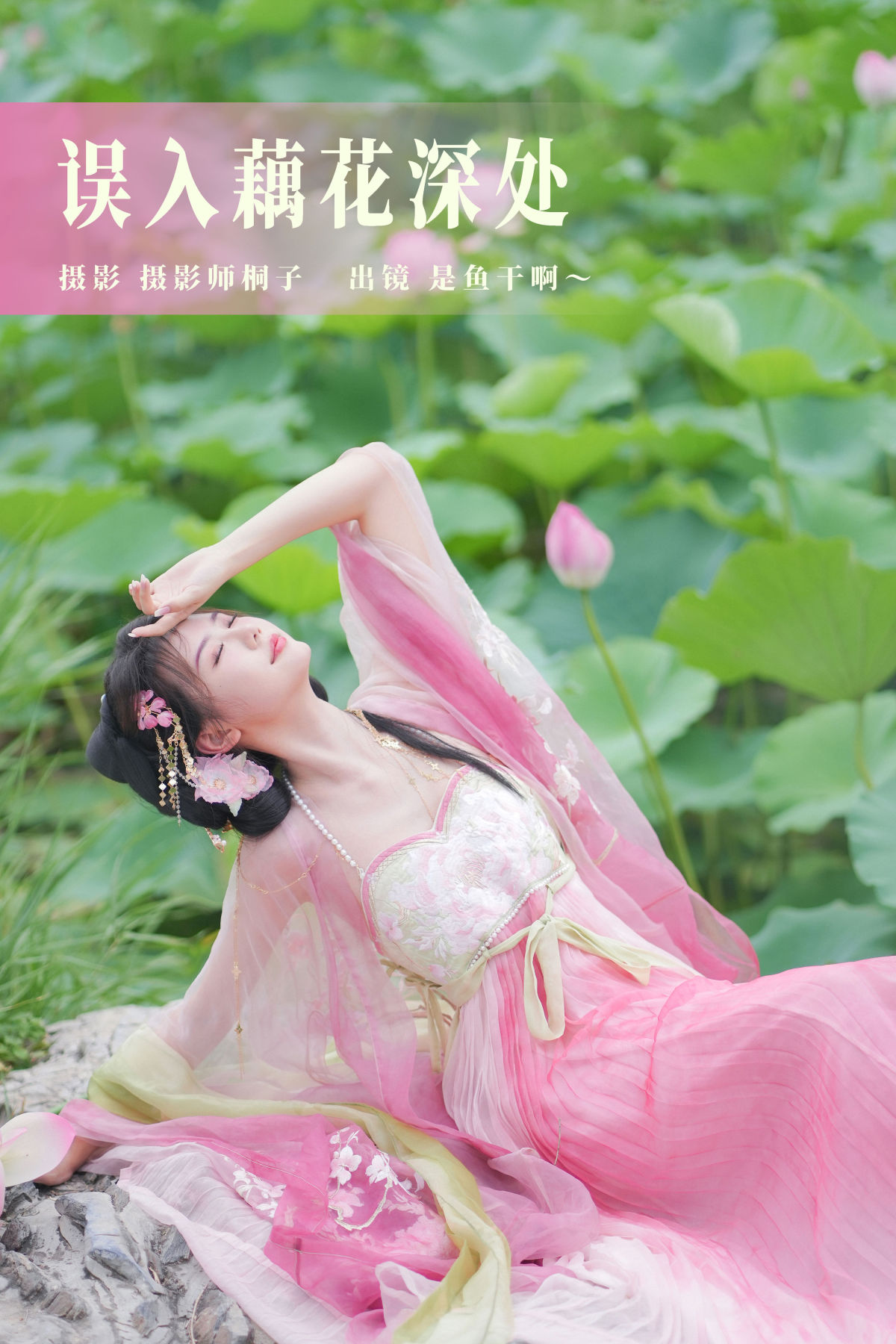 摄影师桐子_是鱼干啊～《误入藕花深处》美图作品图片1