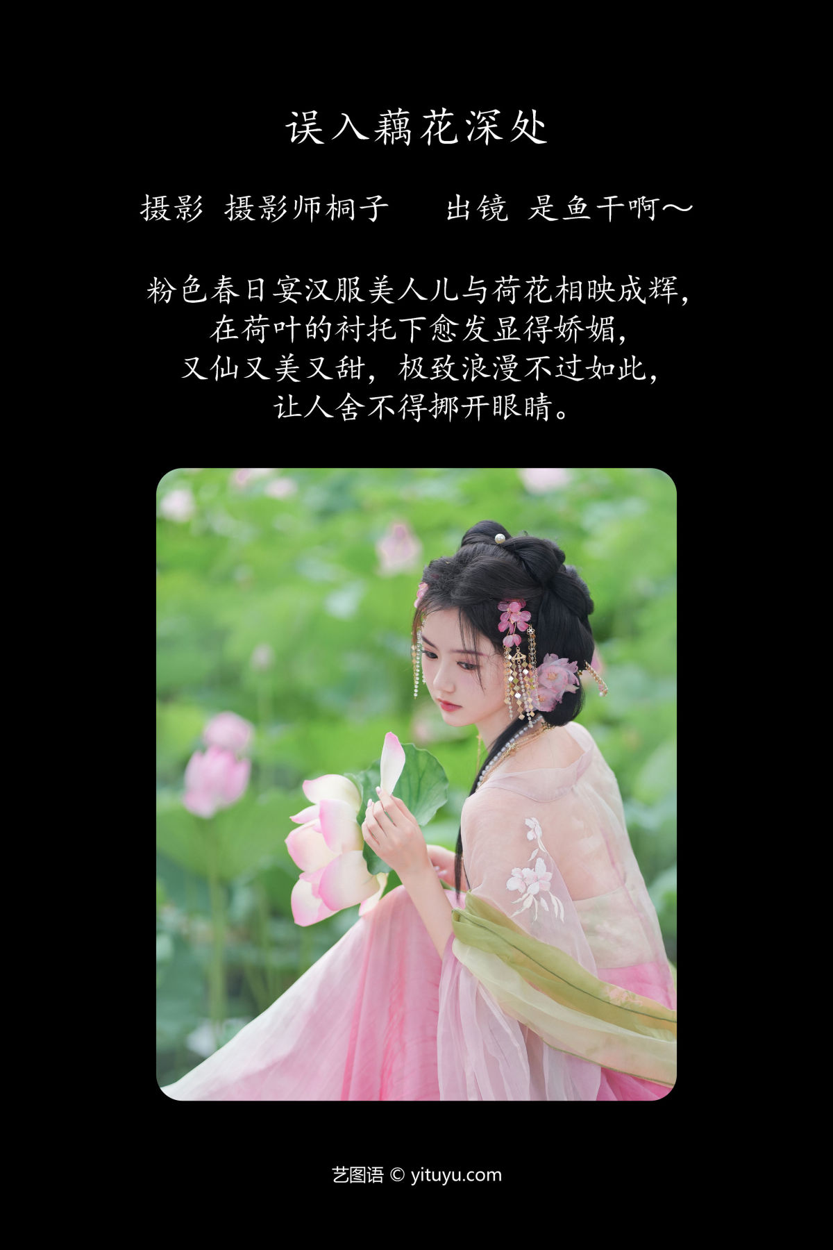 摄影师桐子_是鱼干啊～《误入藕花深处》美图作品图片2