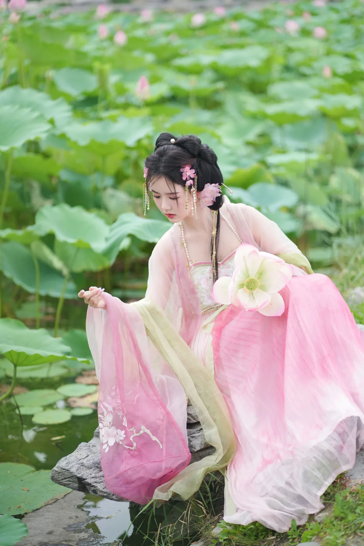 误入藕花深处1