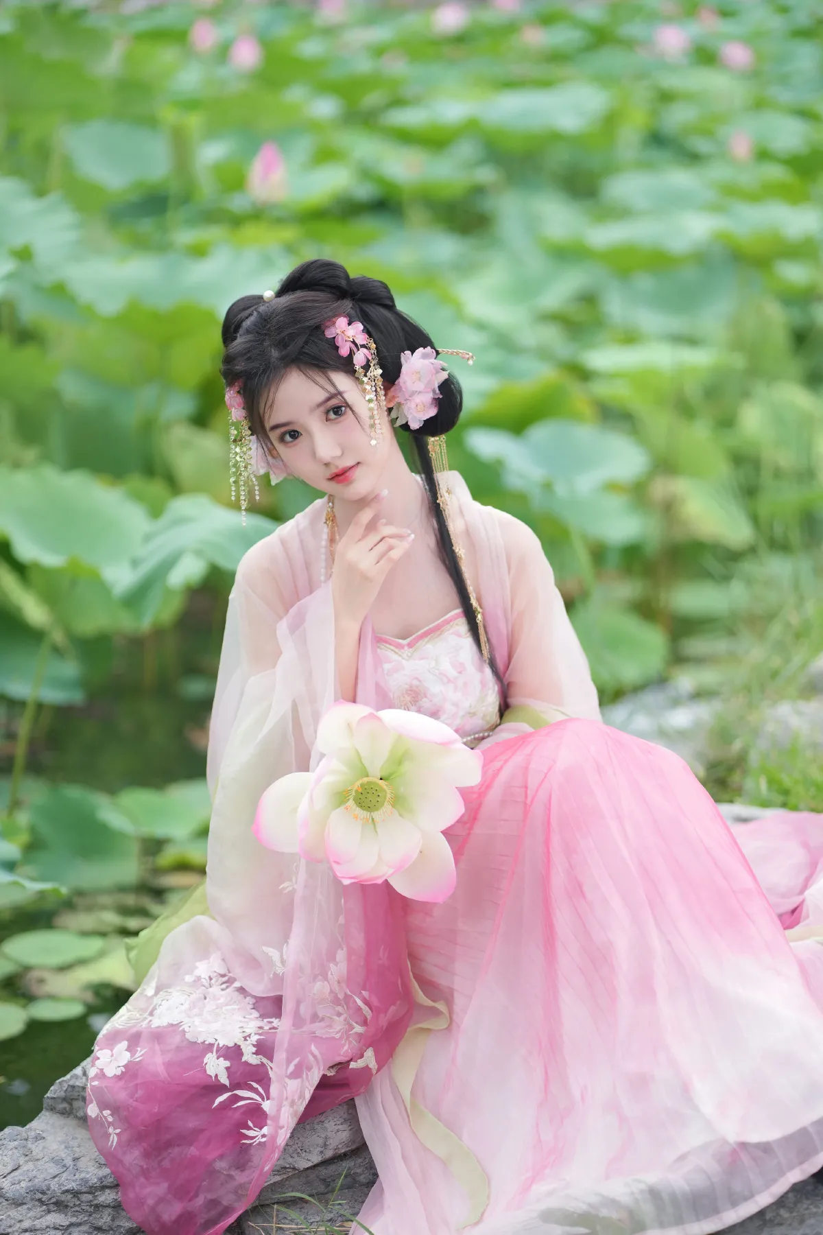 误入藕花深处