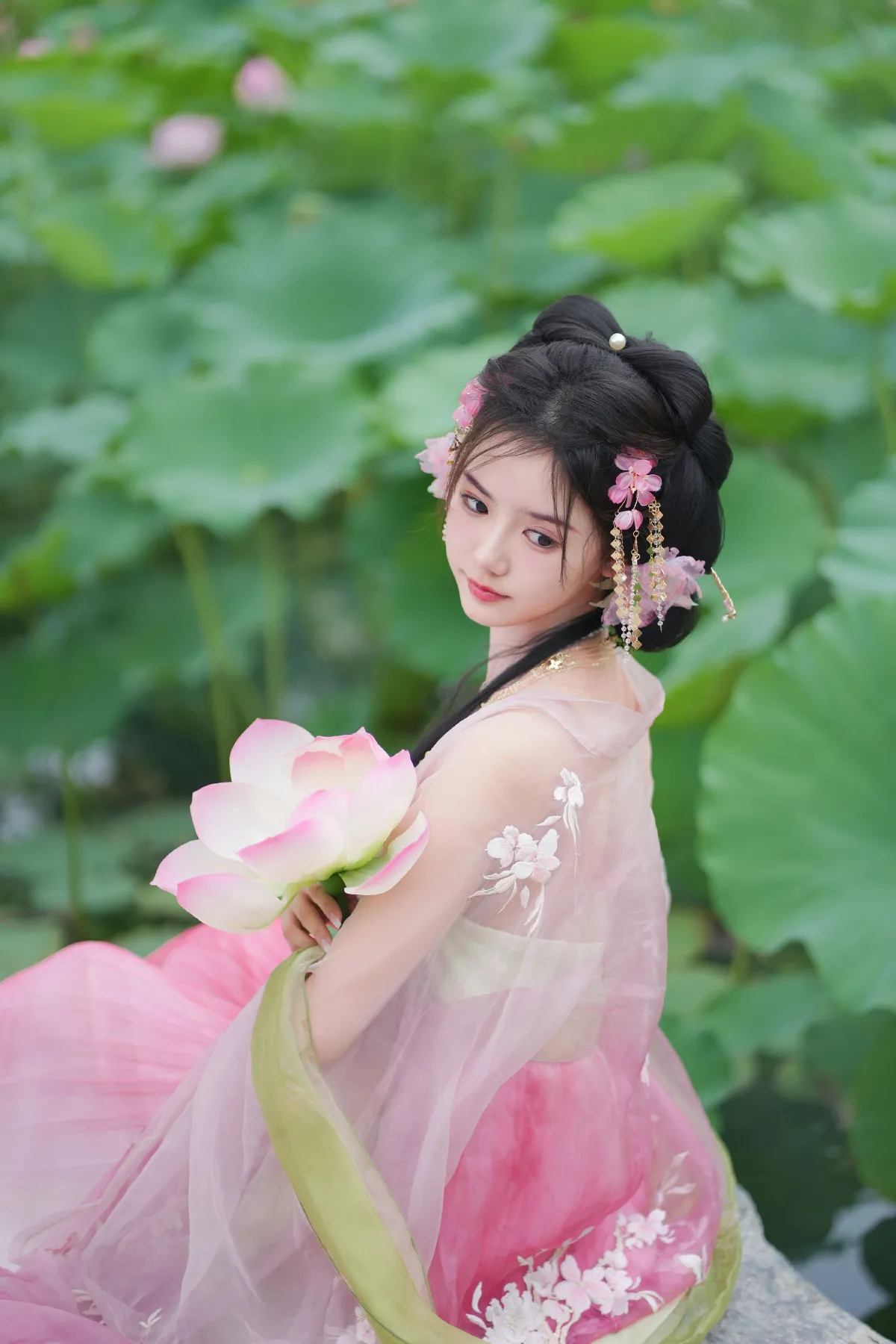 误入藕花深处