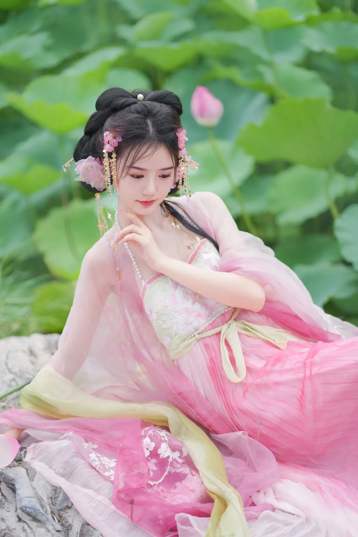 误入藕花深处