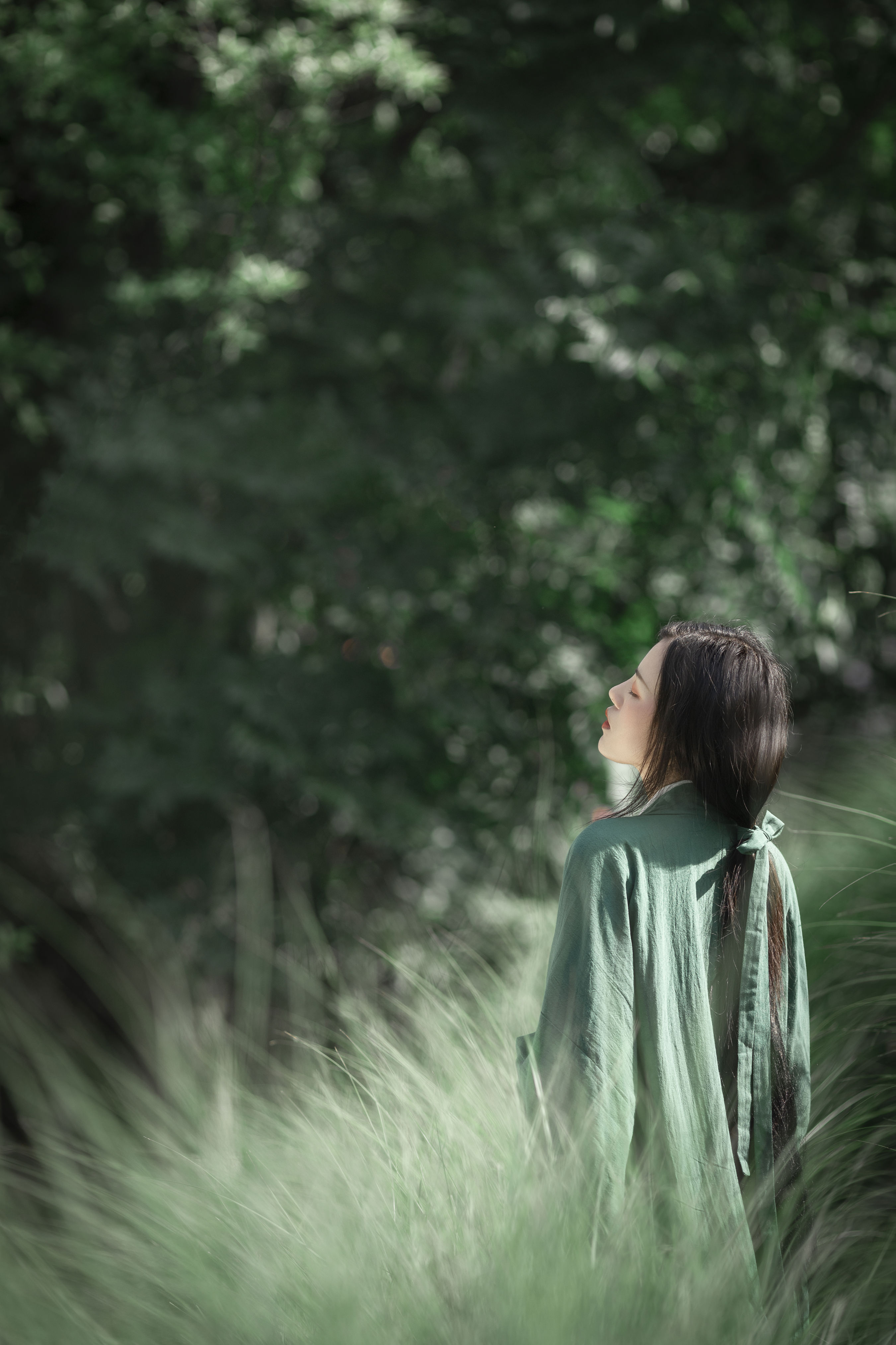 江南的雨