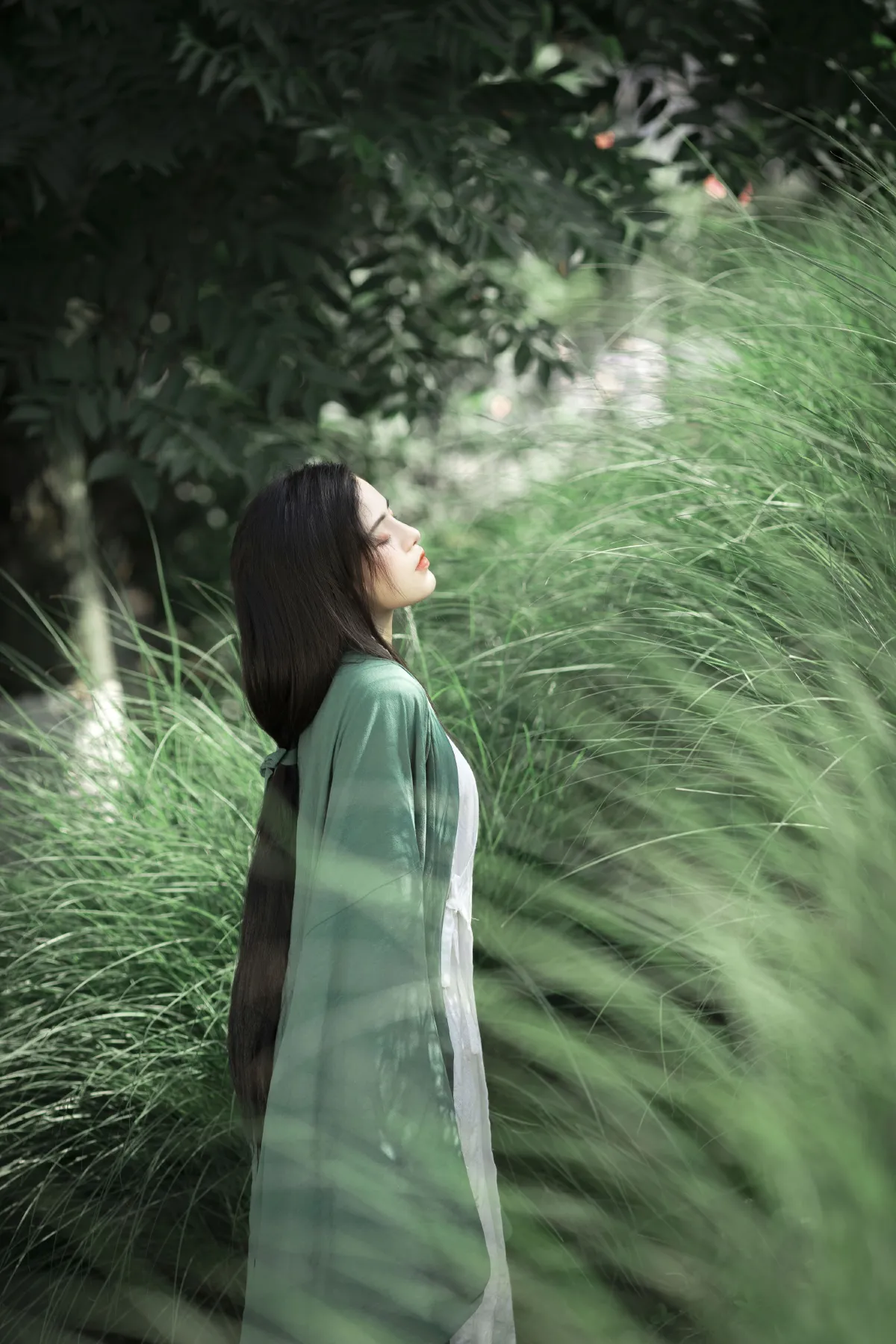 江南的雨