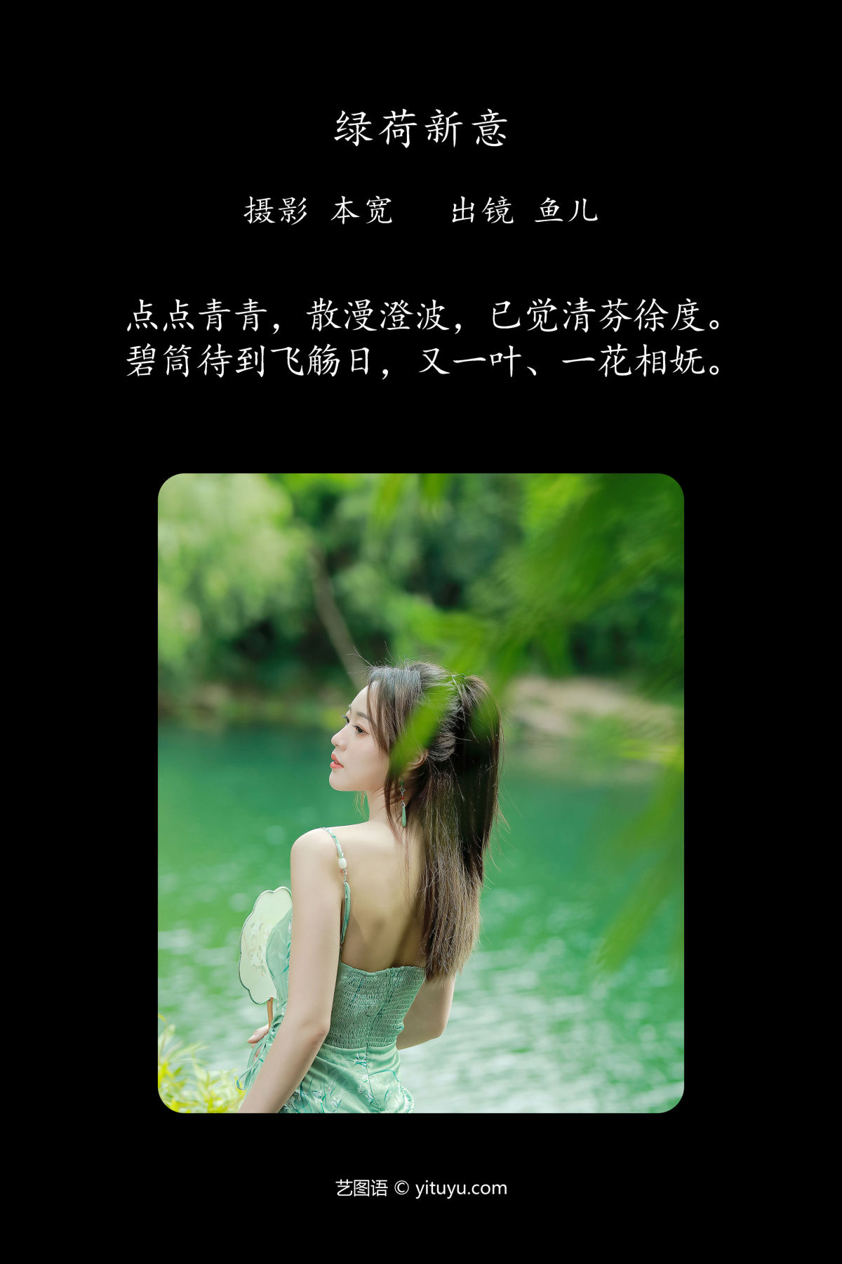 本宽_鱼儿《绿荷新意》美图作品图片2