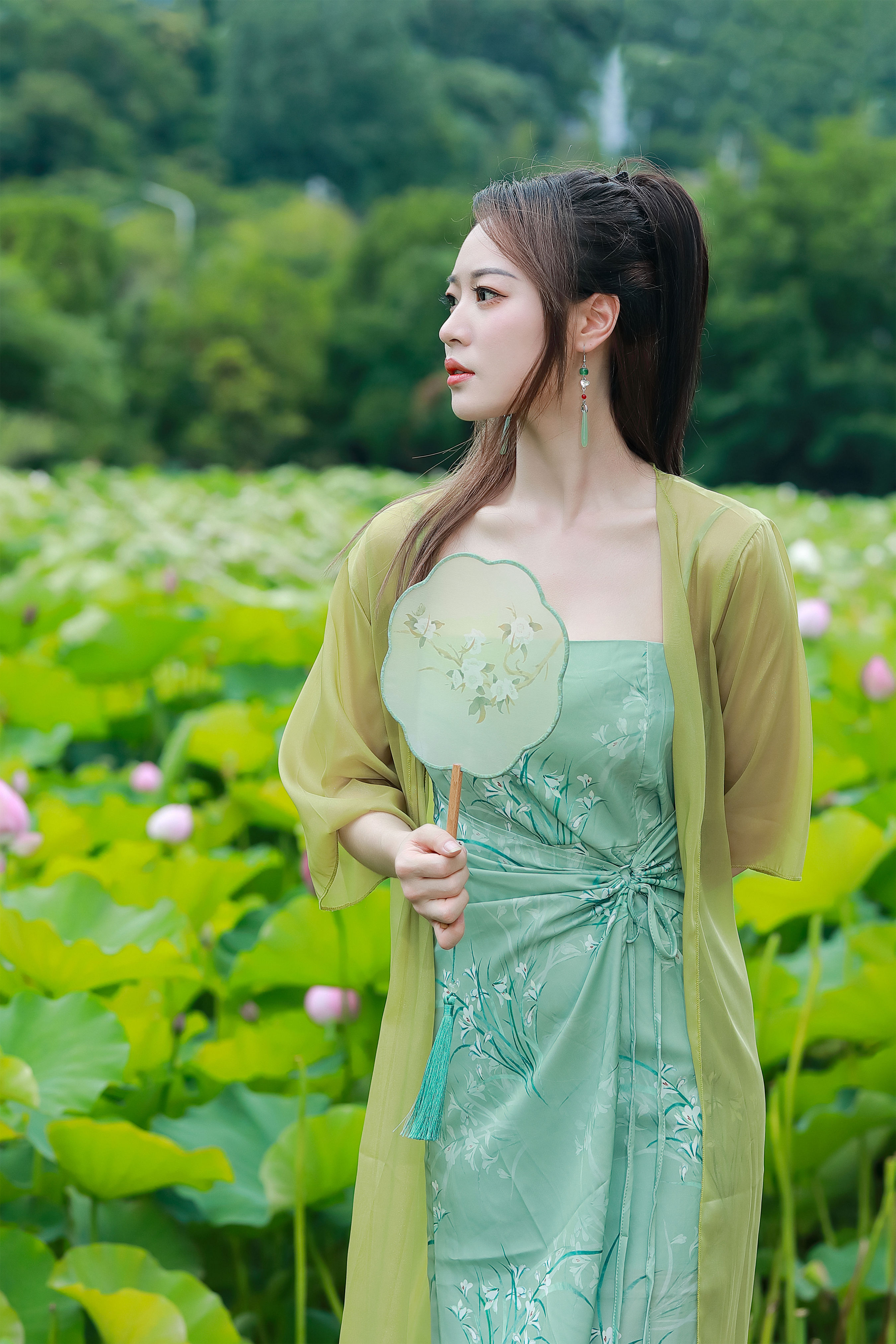 绿荷新意