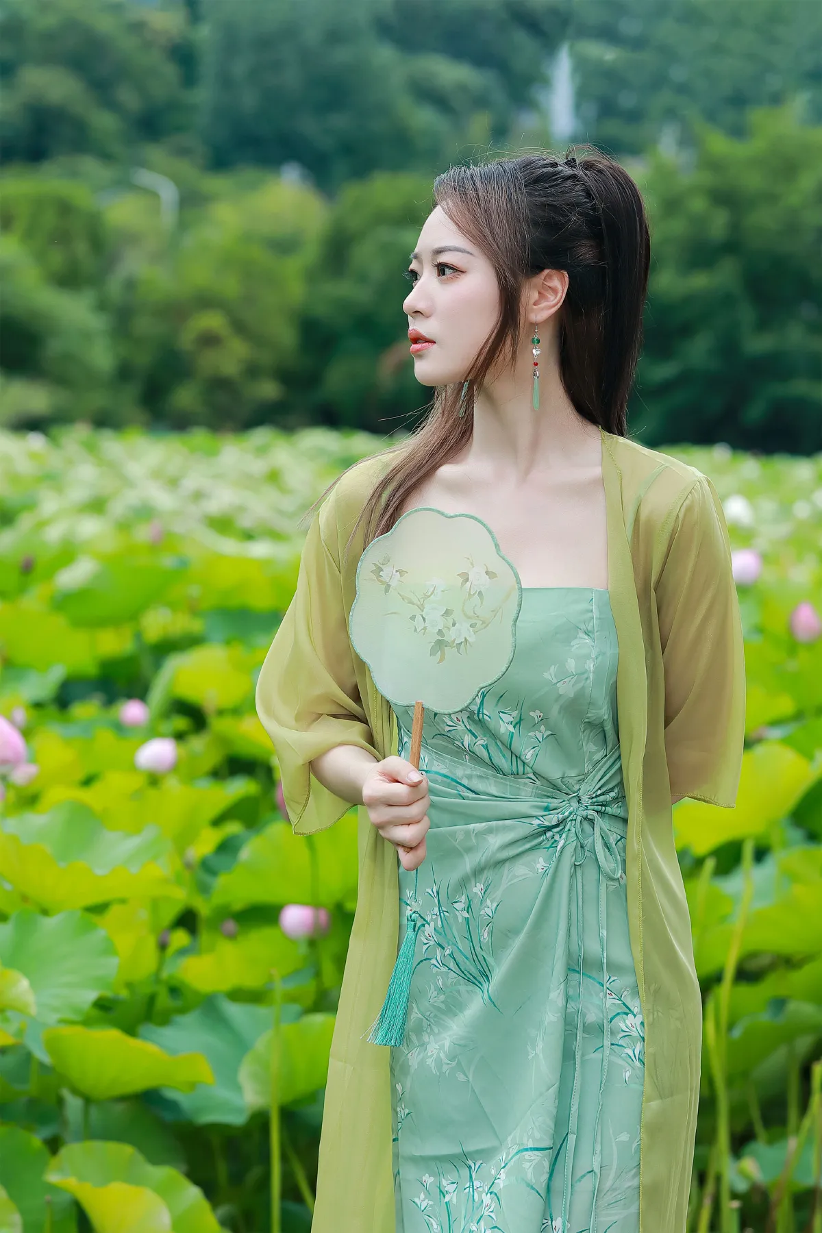 绿荷新意1