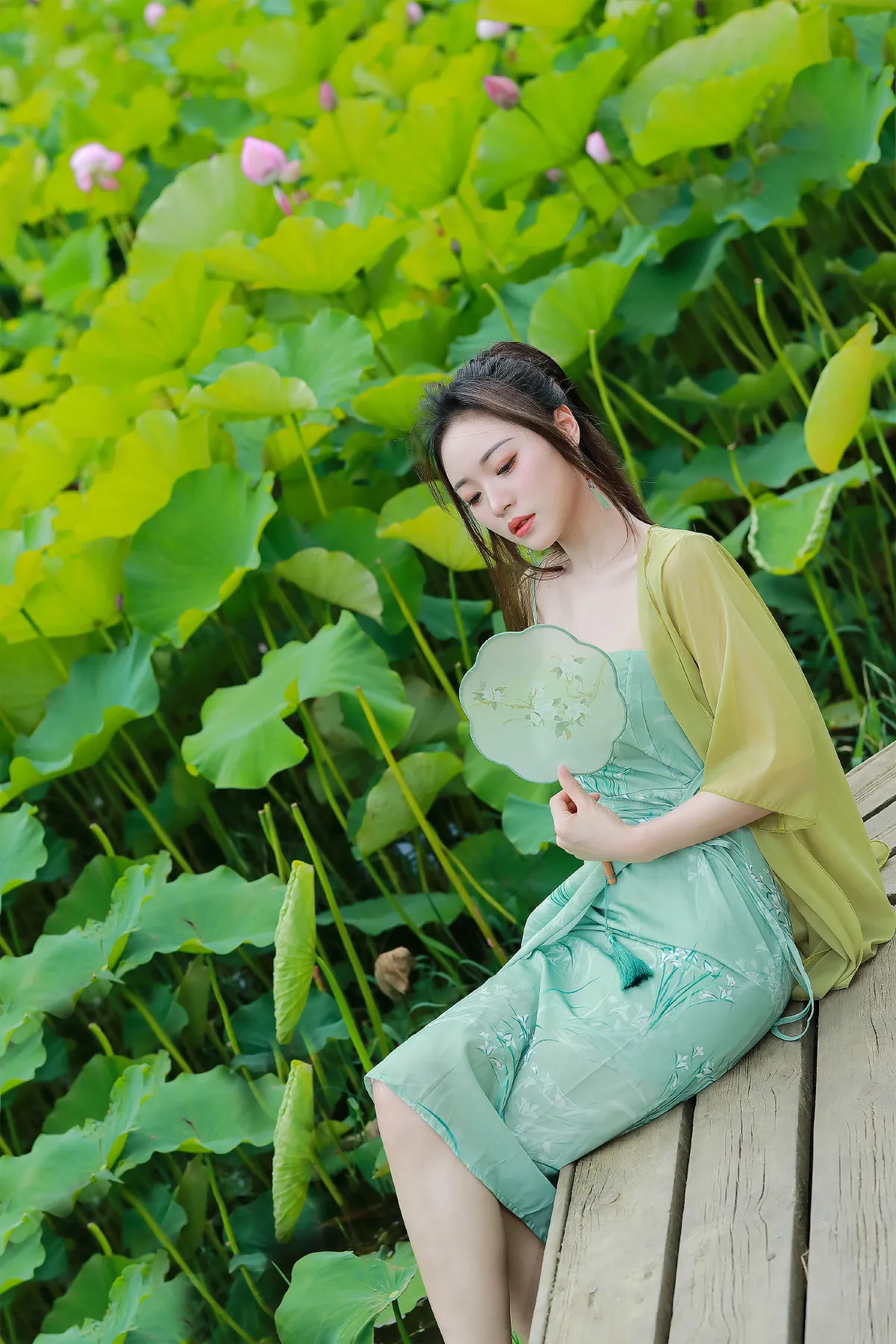 绿荷新意3