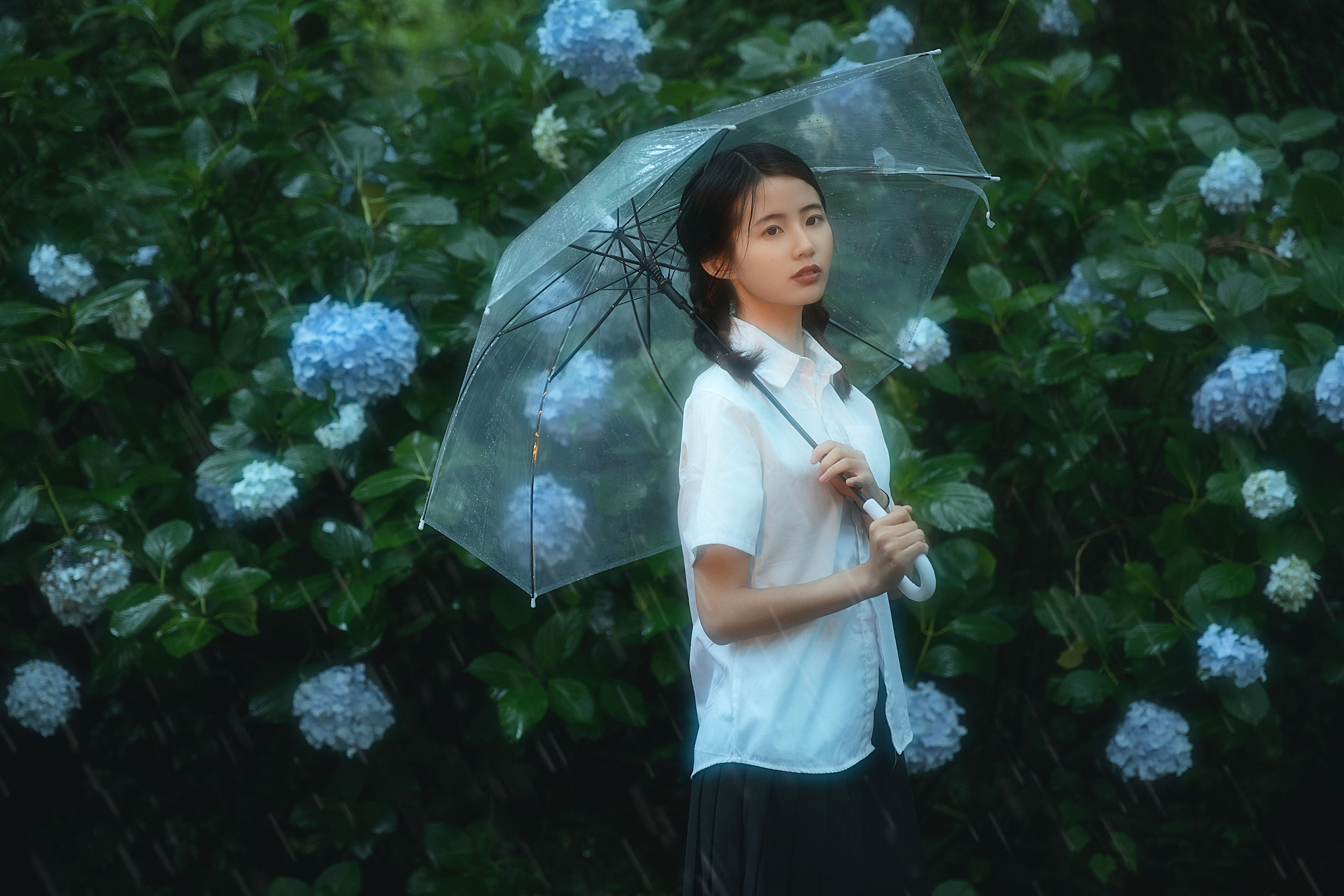 雨