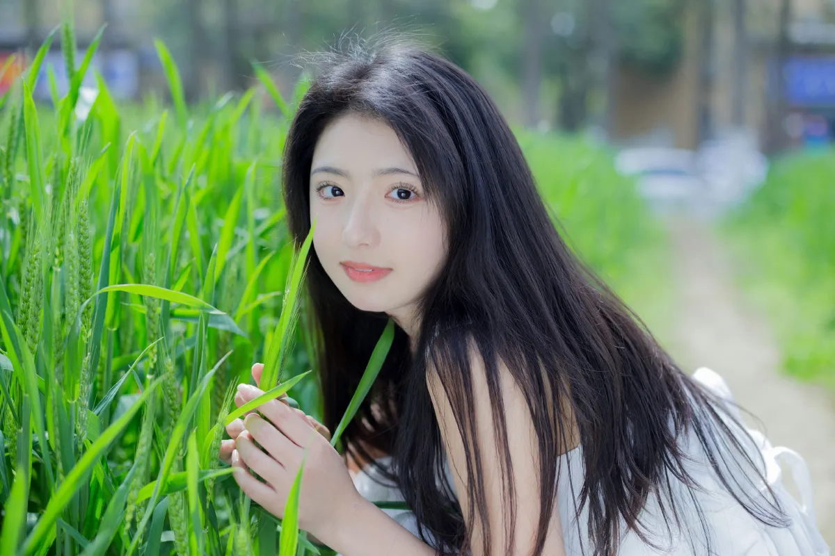 完美初夏