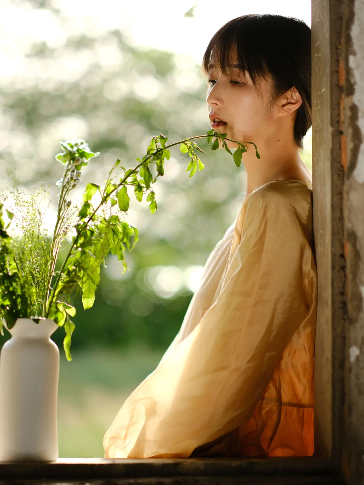 伴着微风和黄昏