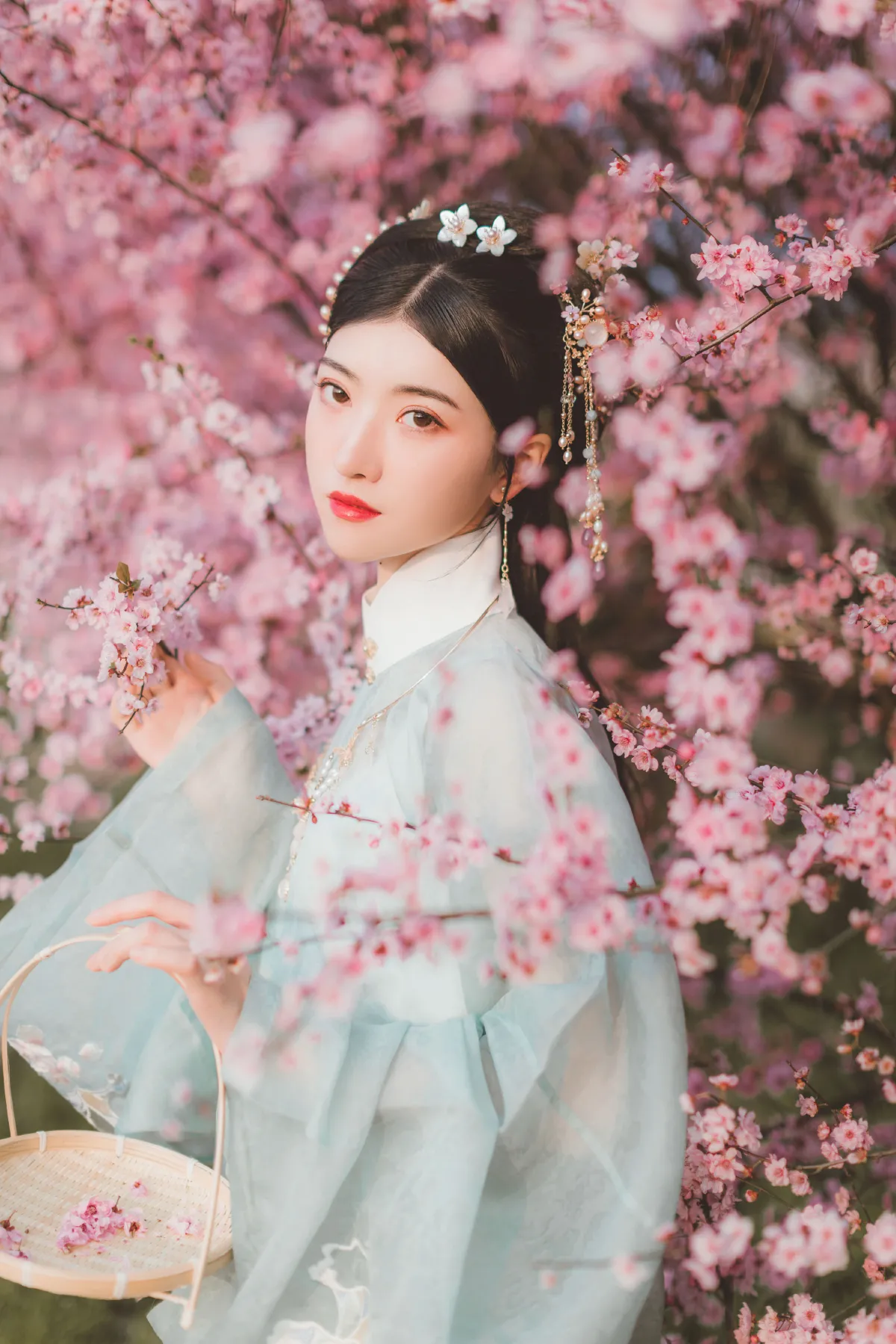 美人梅1