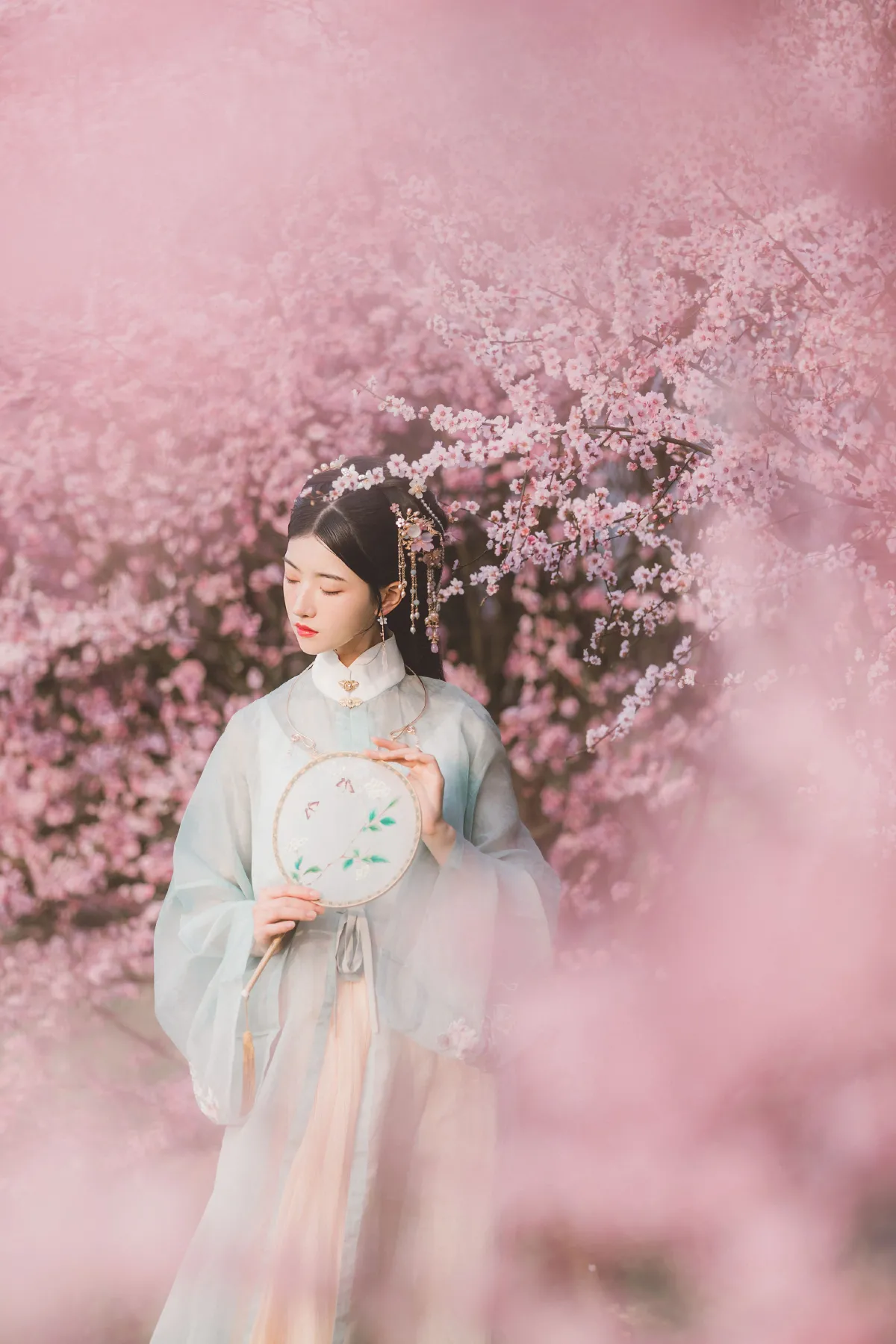 美人梅3