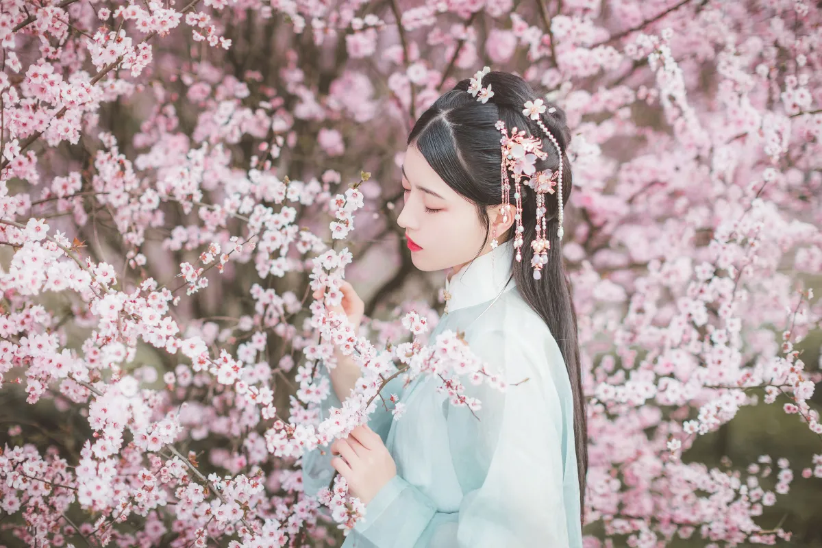 美人梅