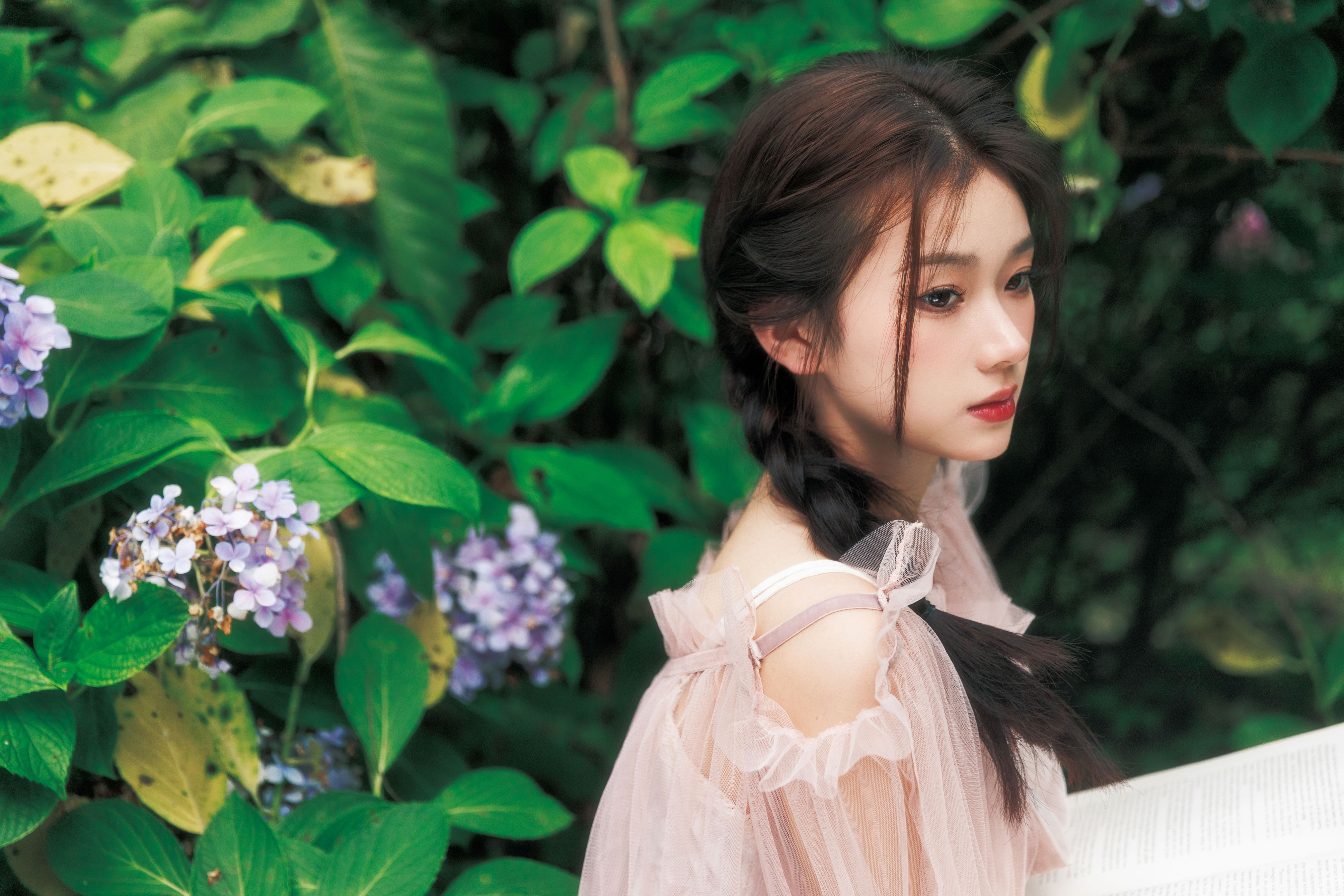 花园里的夏天