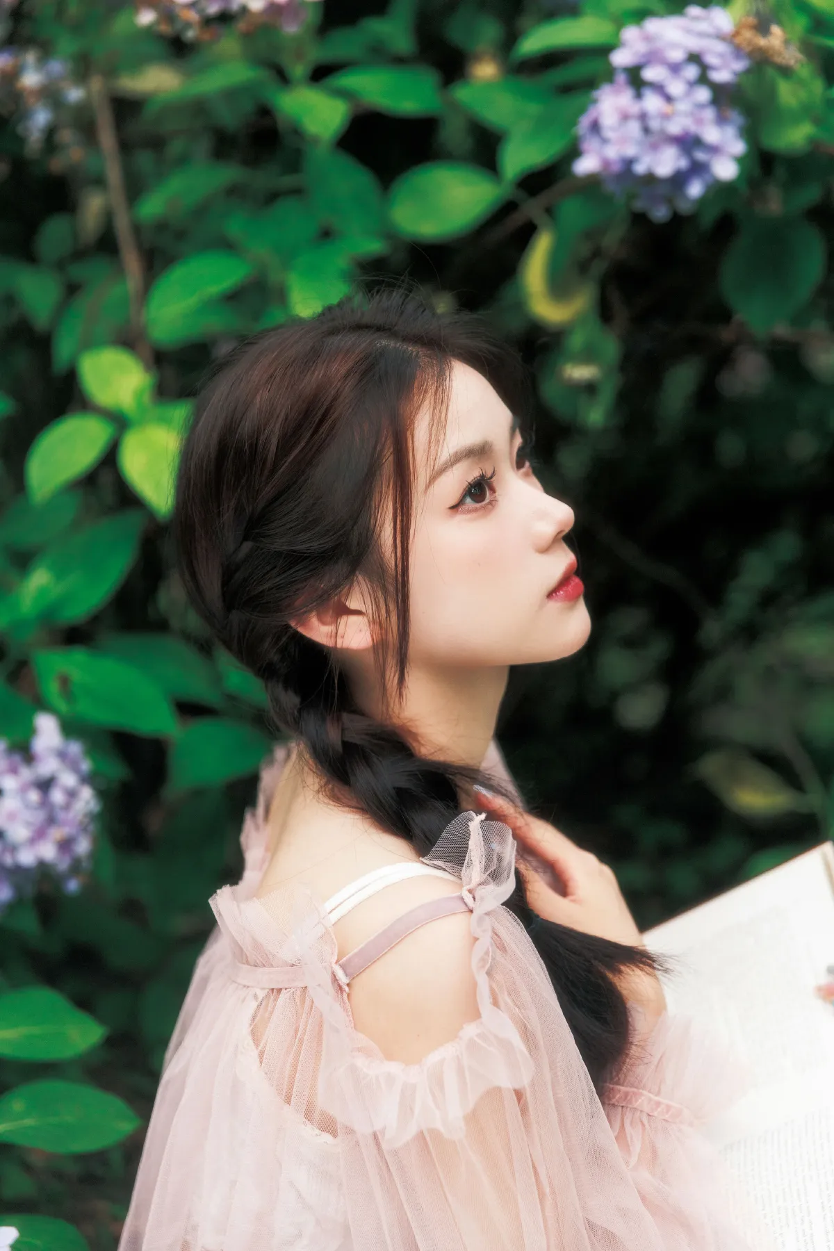 花园里的夏天2